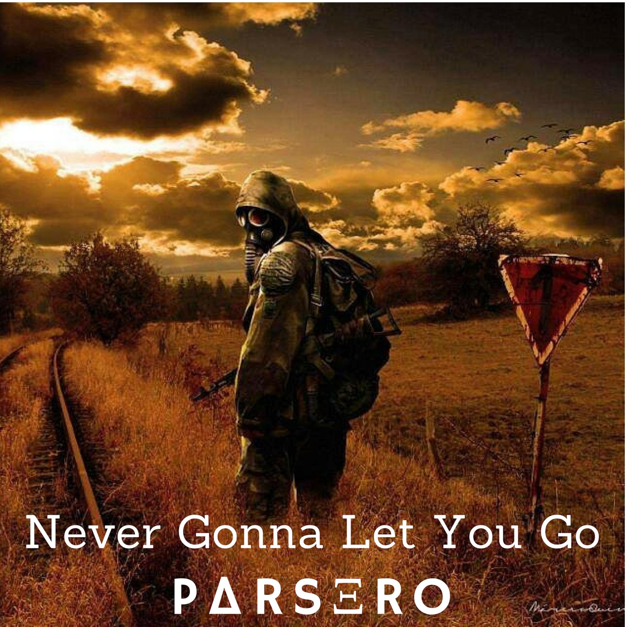 Never Gonna Let You Go