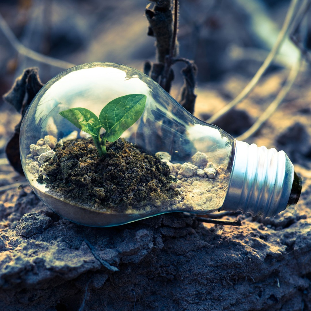 Lets not think about tomorrow