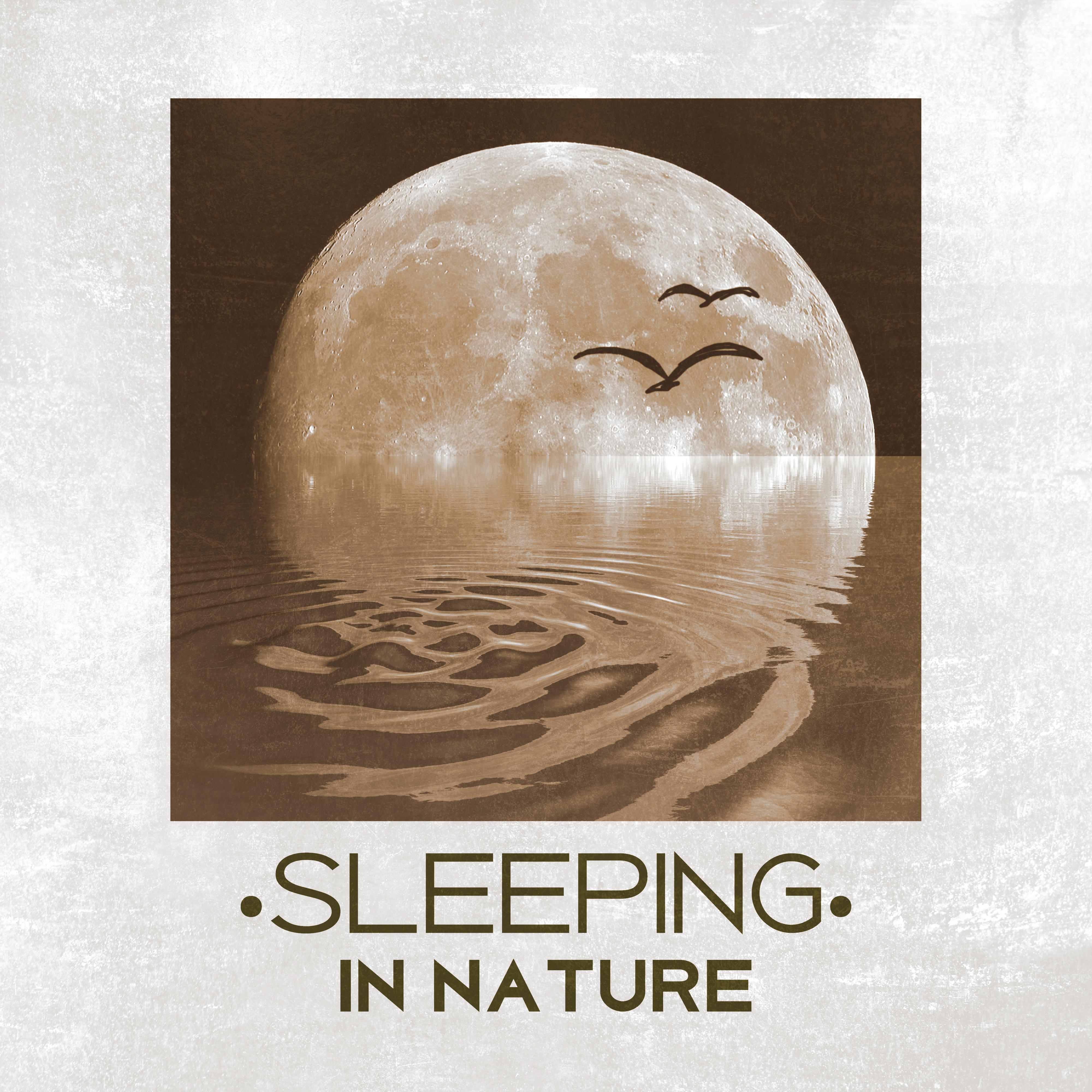 Sleeping in Nature  Best Nature Music for Calm Down and Easily Fall Asleep, Deep Sleep, Music for Sleeping