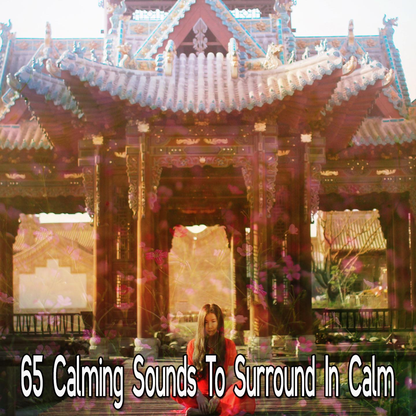 65 Calming Sounds To Surround In Calm