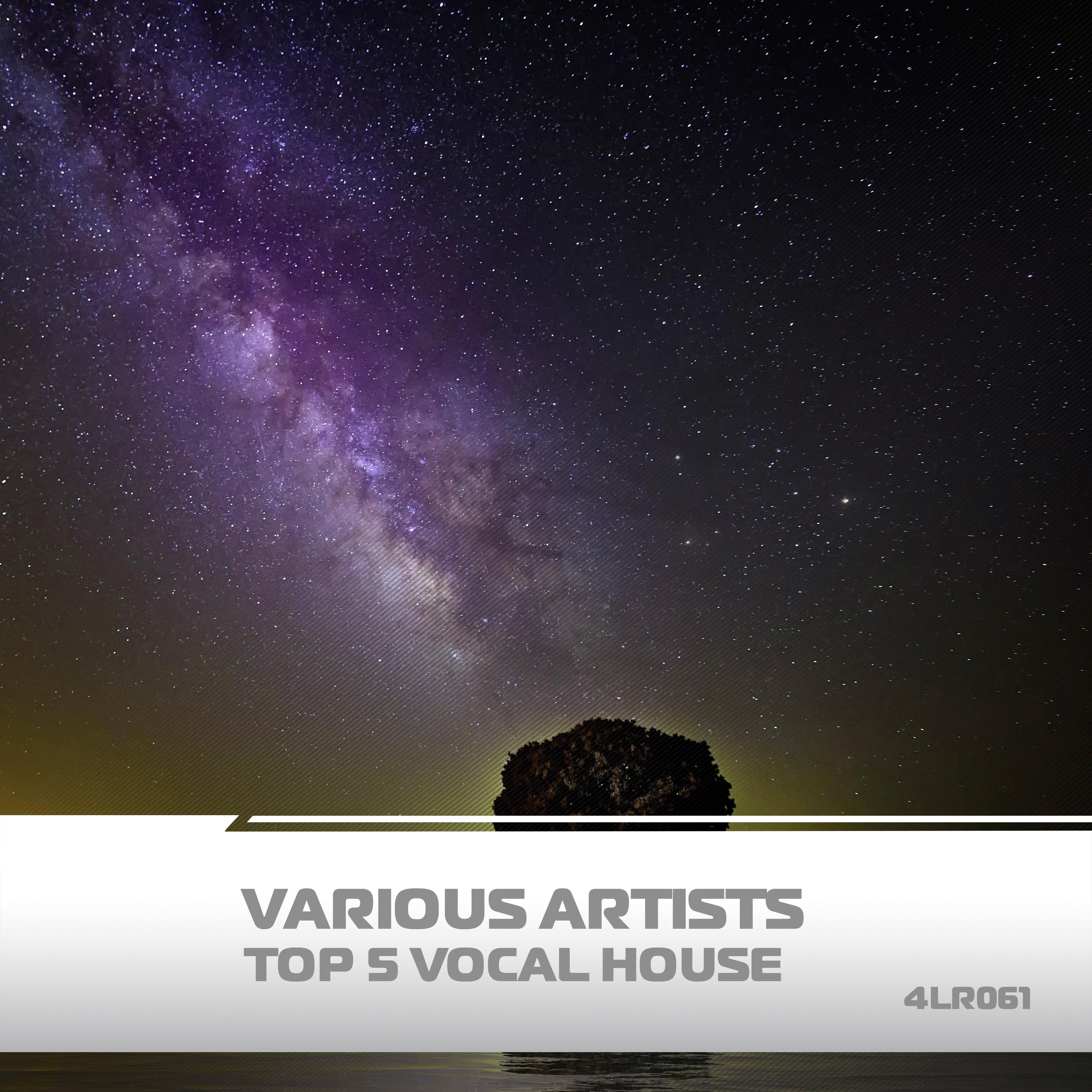 Top 5 Vocal House