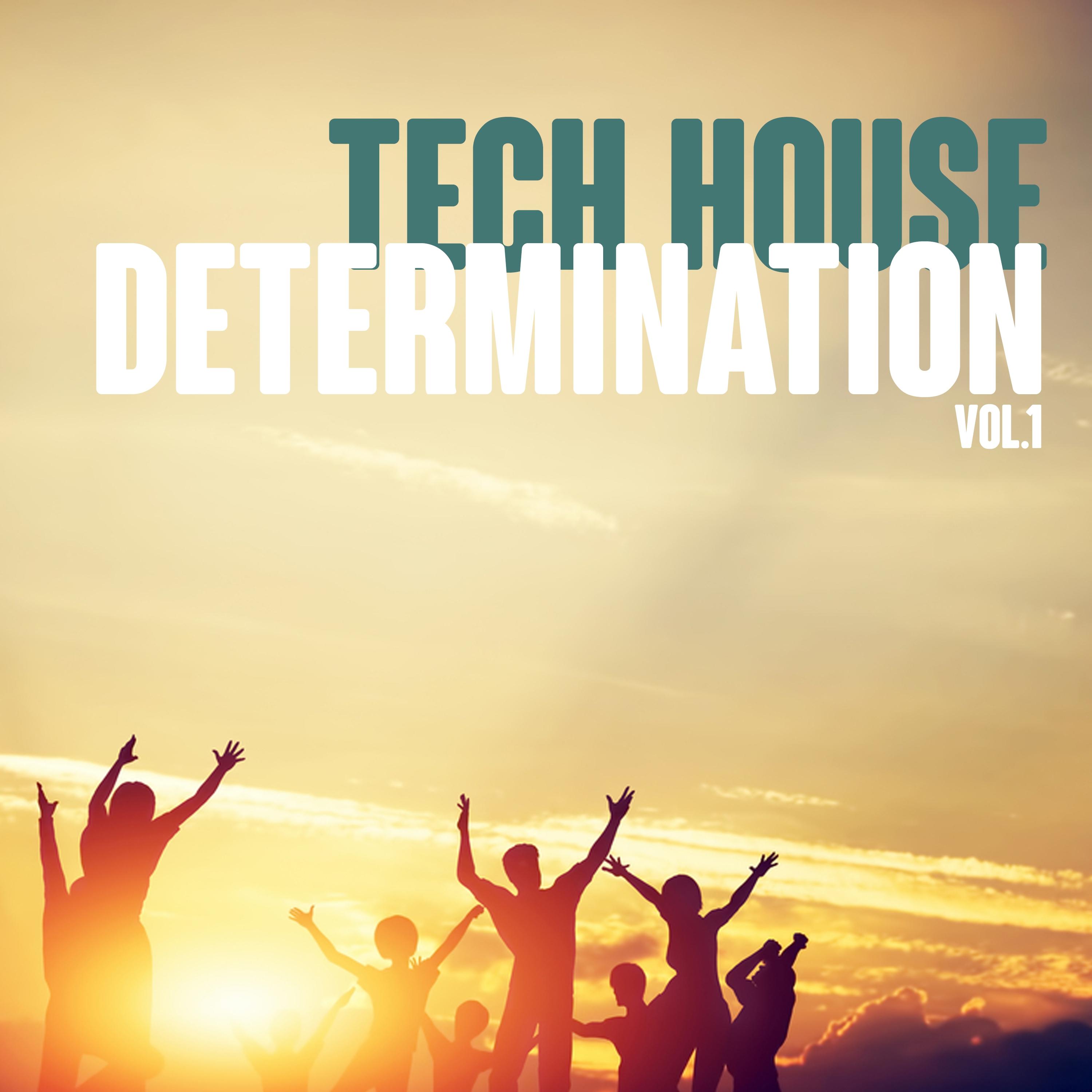 Tech House Determination, Vol. 1