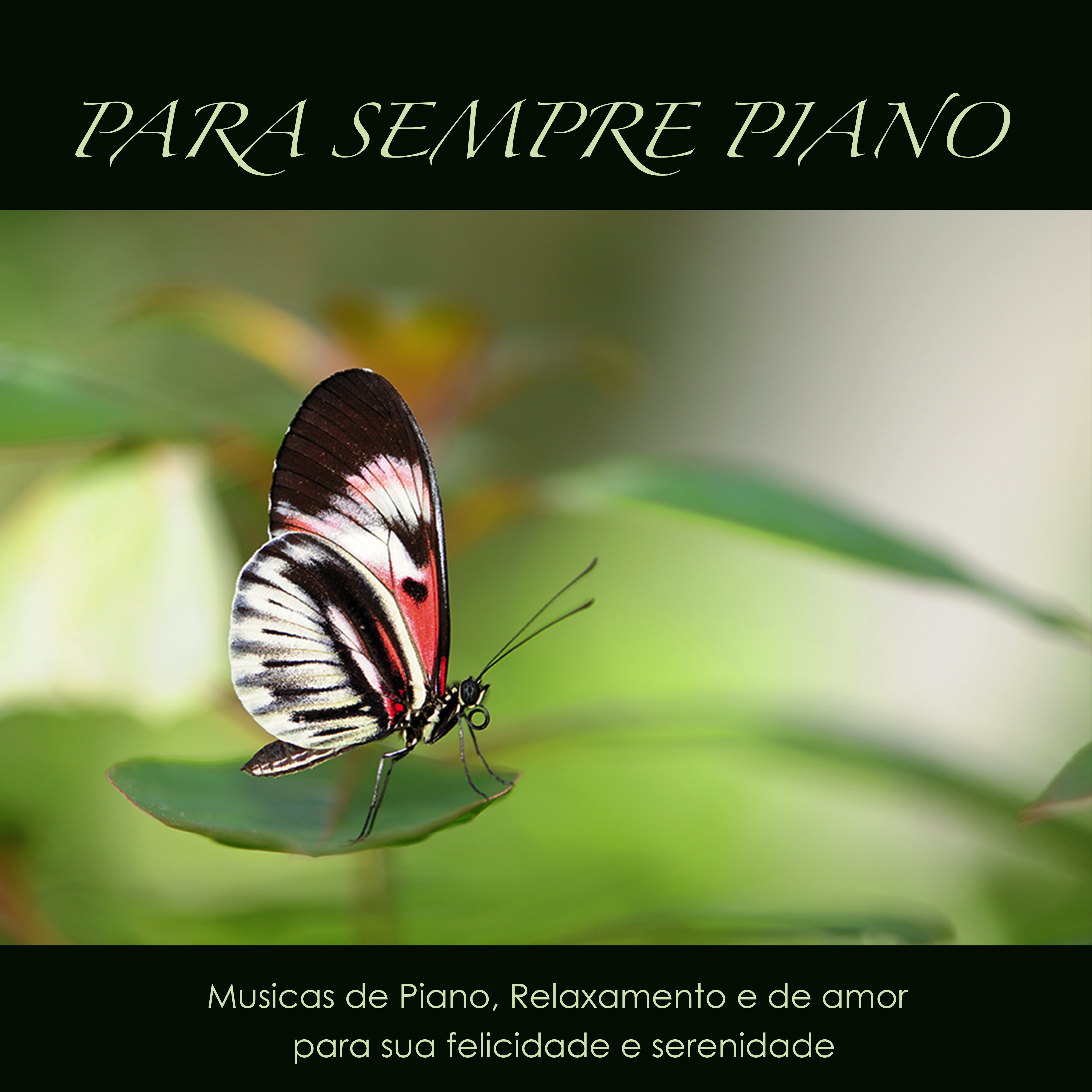 Para sempre piano: mu sicas para relaxar de piano  de amor, relaxamento  medita o para sua felicidade e serenidade