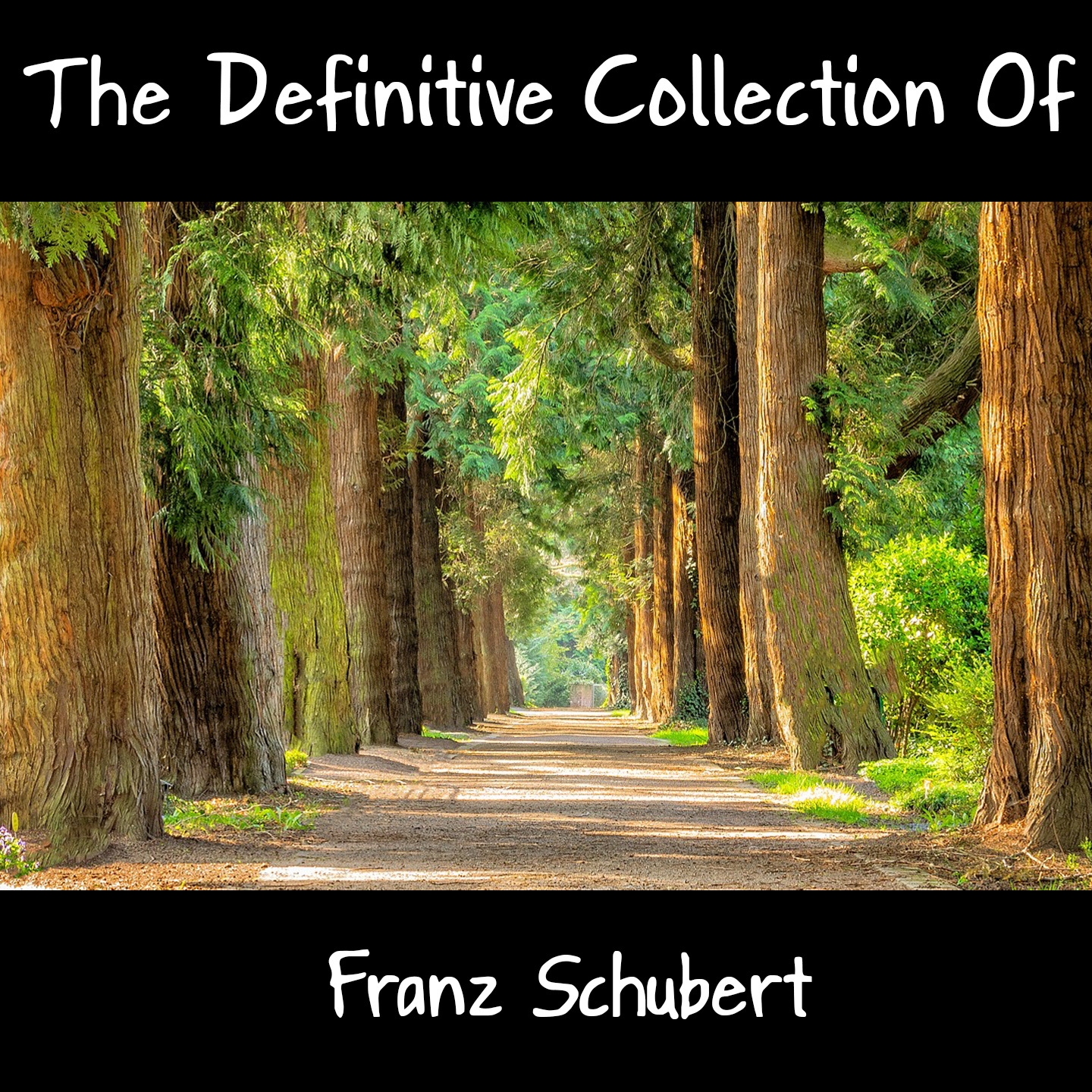 The Definitive Collection Of Franz Schubert