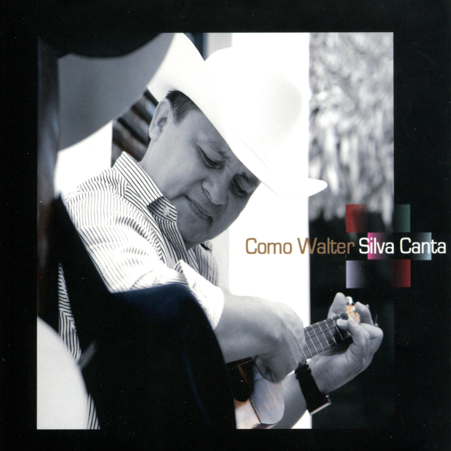 Como Walter Silva Canta