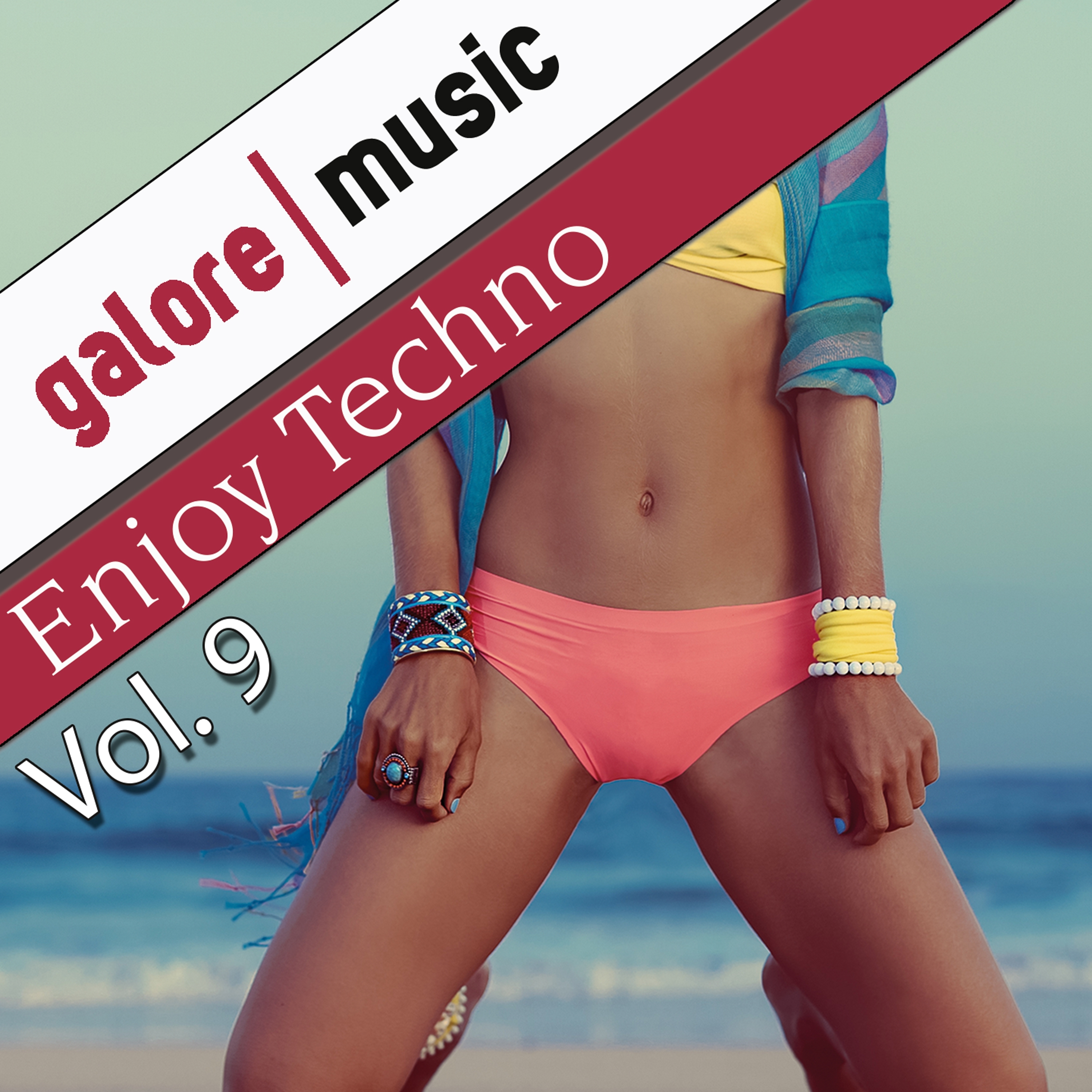 Enjoy Techno, Vol. 9