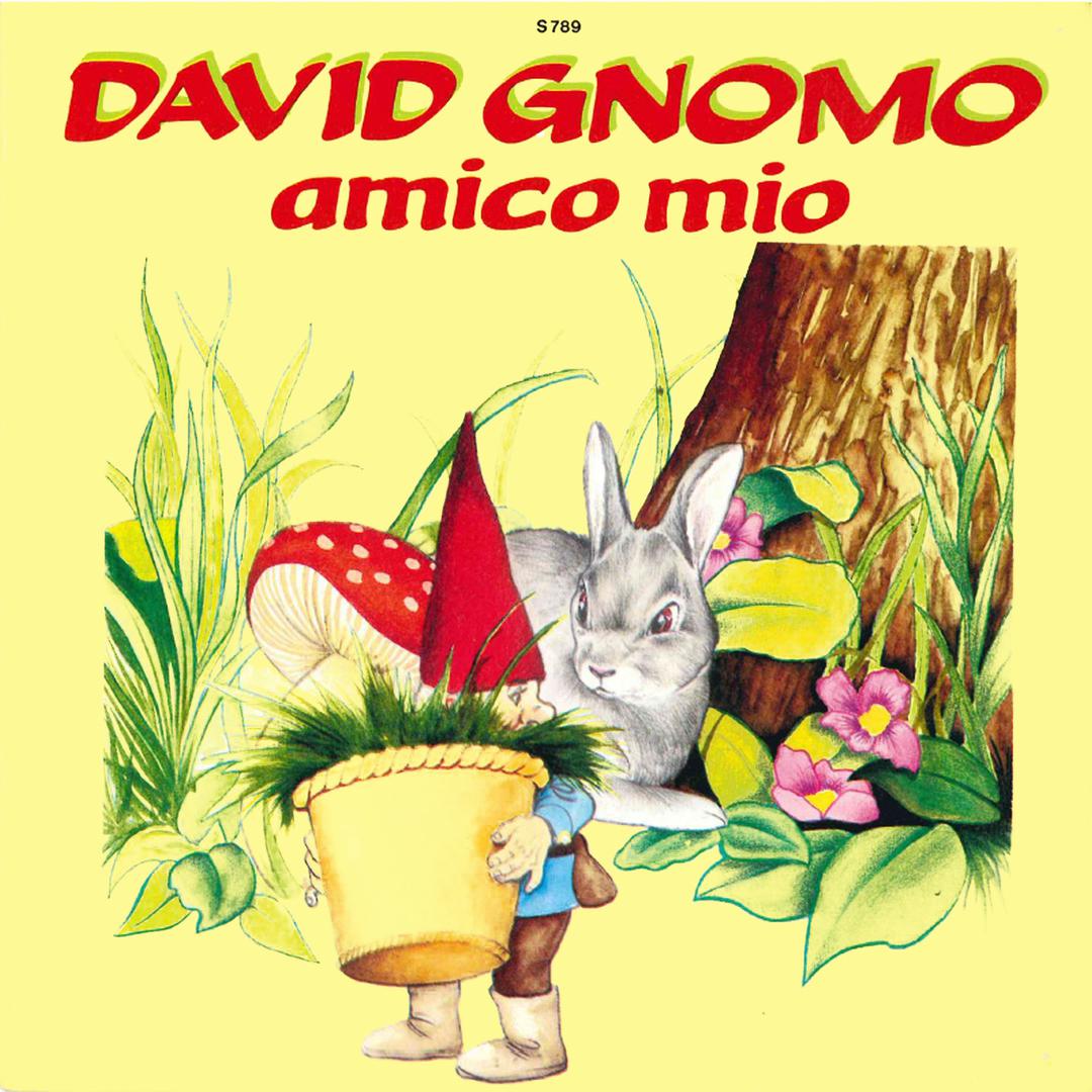 David gnomo amico mio