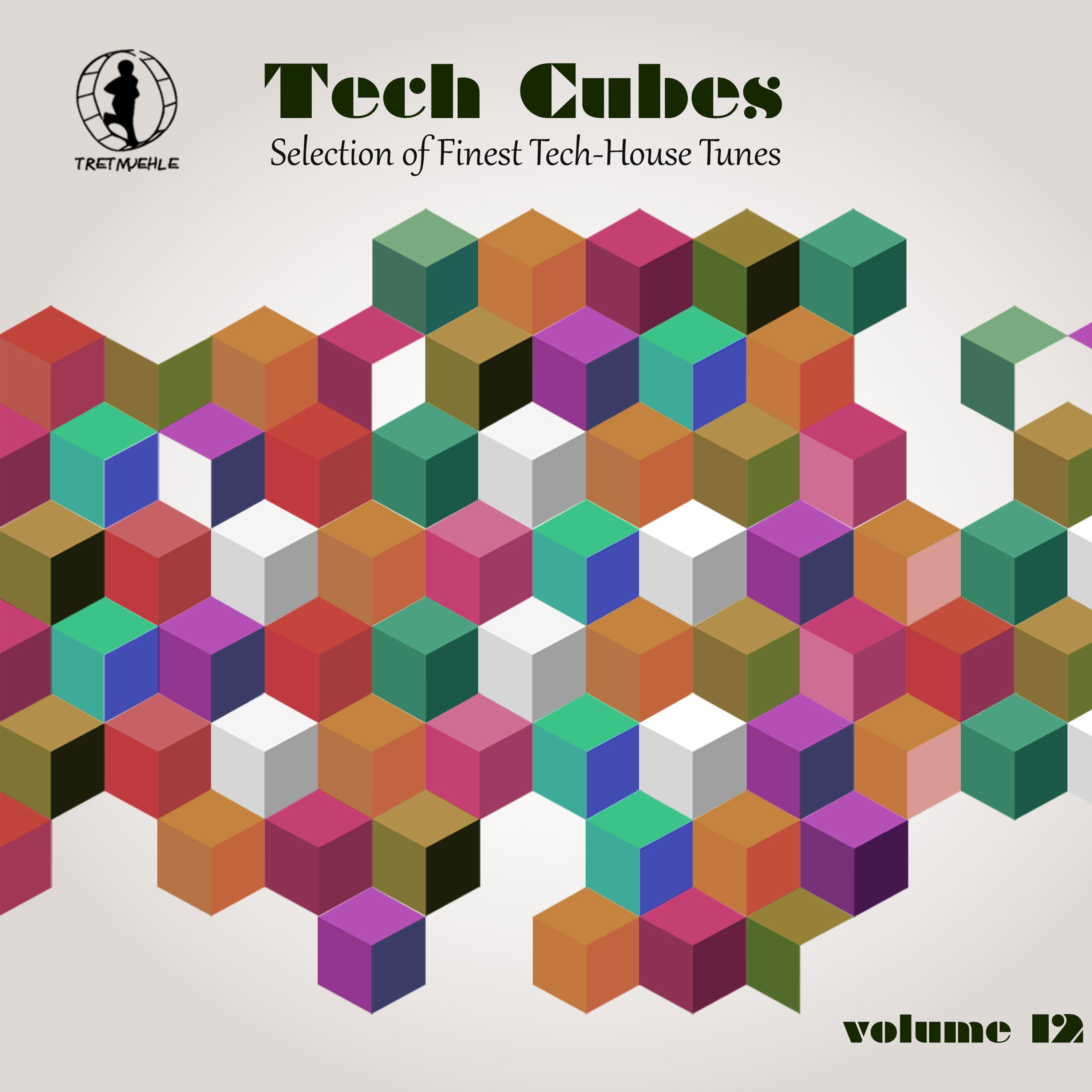 Tech Cubes, Vol. 12 - Selection of Finest Tech-House Tunes!