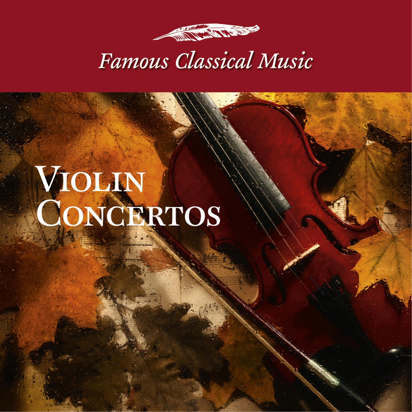 Concerto for Violin, Violincello in A Minor, Op. 102: Vivace non troppo