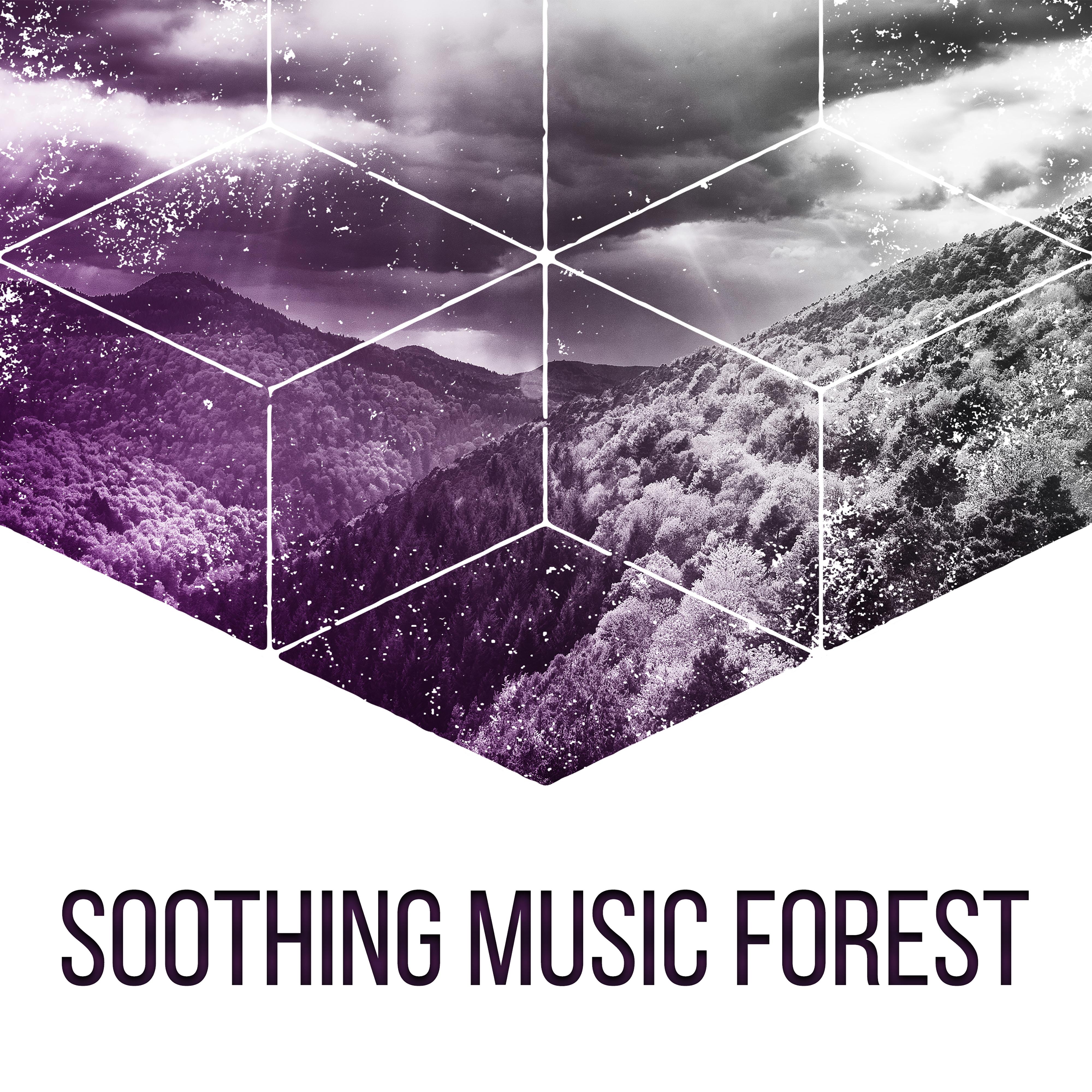 Soothing Music Forest  Nature Sounds for Relaxation, Classical Guitar, Birds Singing, Soft Melodies, Pure Mind, Sounds of Forest, Deep Sleep