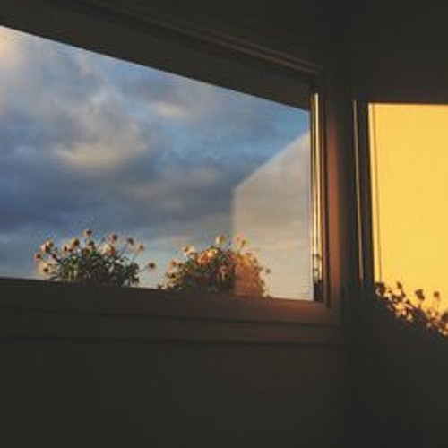 show me what you mean