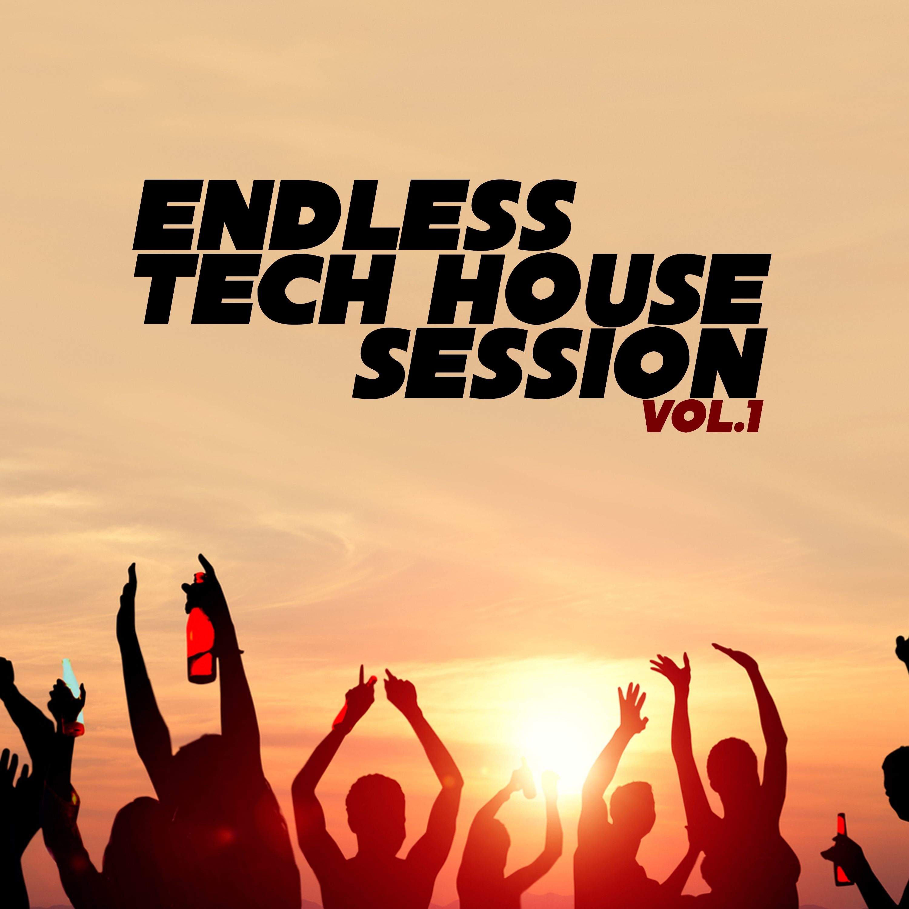Endless Tech House Session, Vol. 1