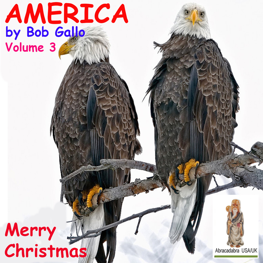 America, Vol 3. Merry Christmas