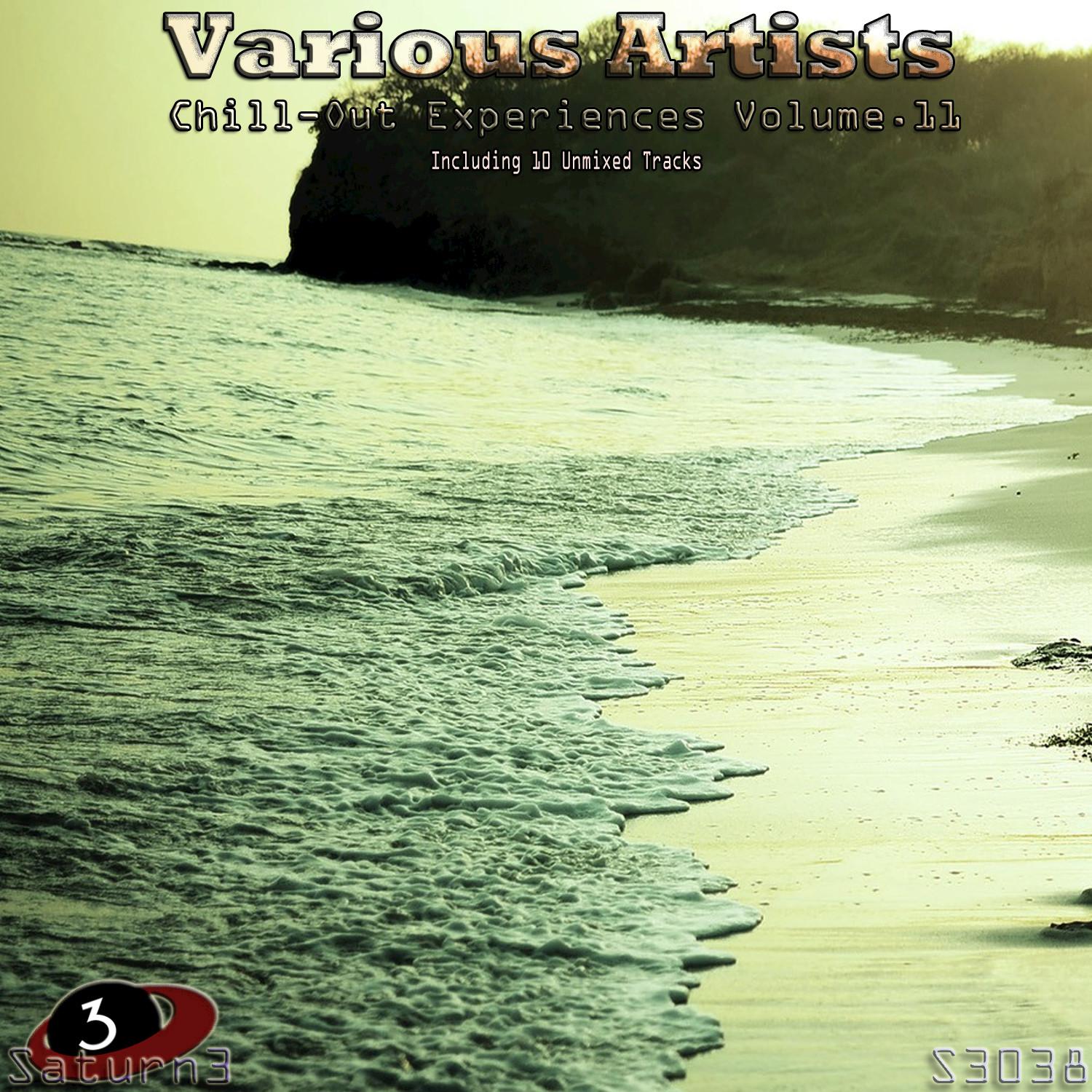 Chill Out Experiences Volume.11