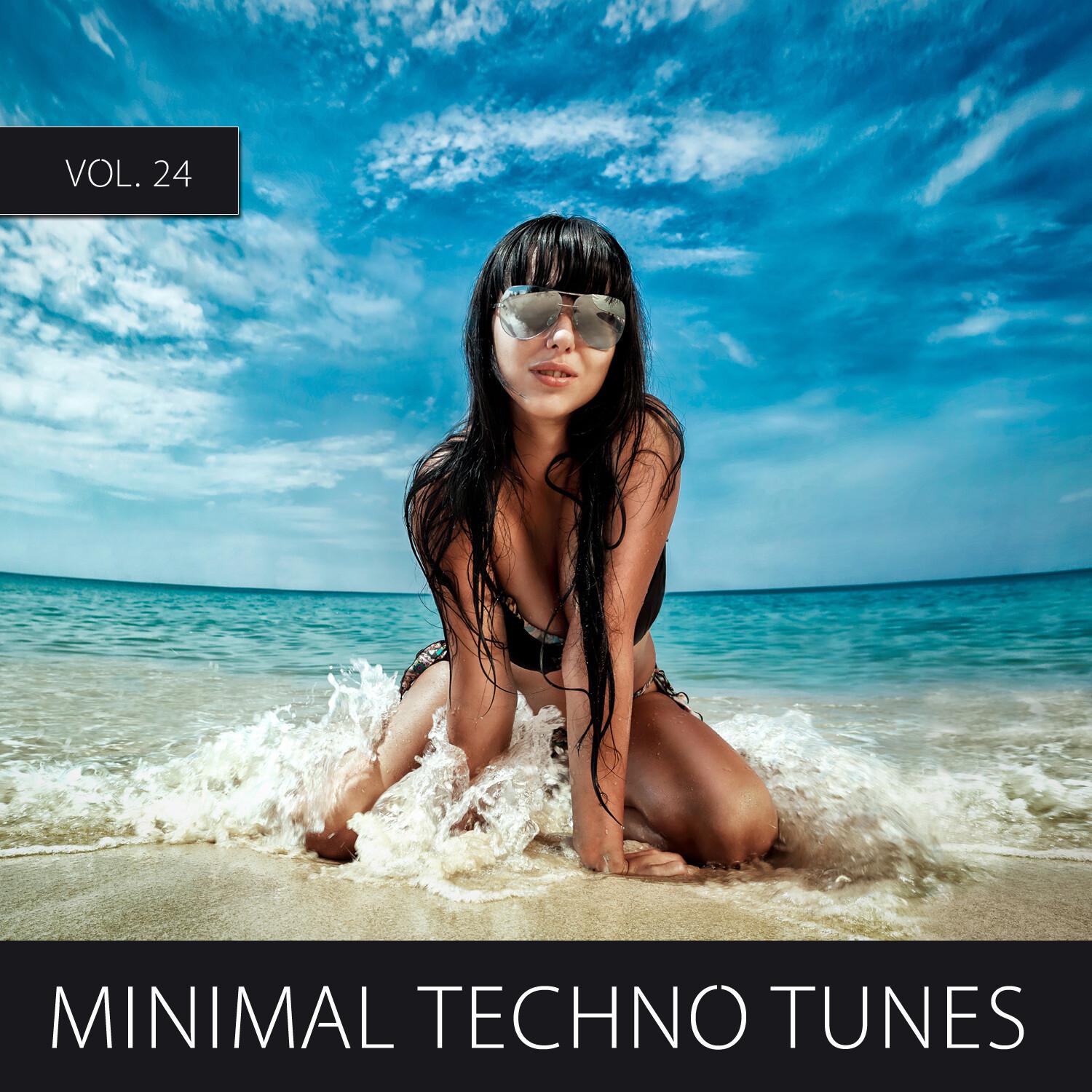 Minimal Techno Tunes, Vol. 24