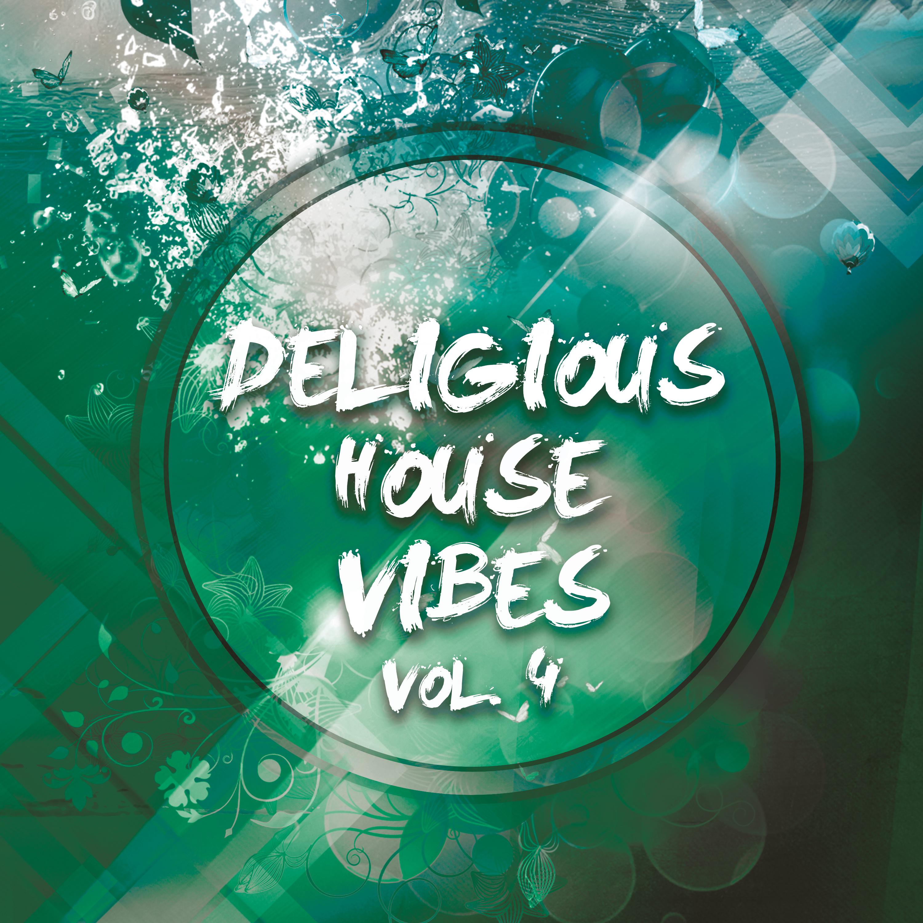 Deligious House Vibes, Vol. 4
