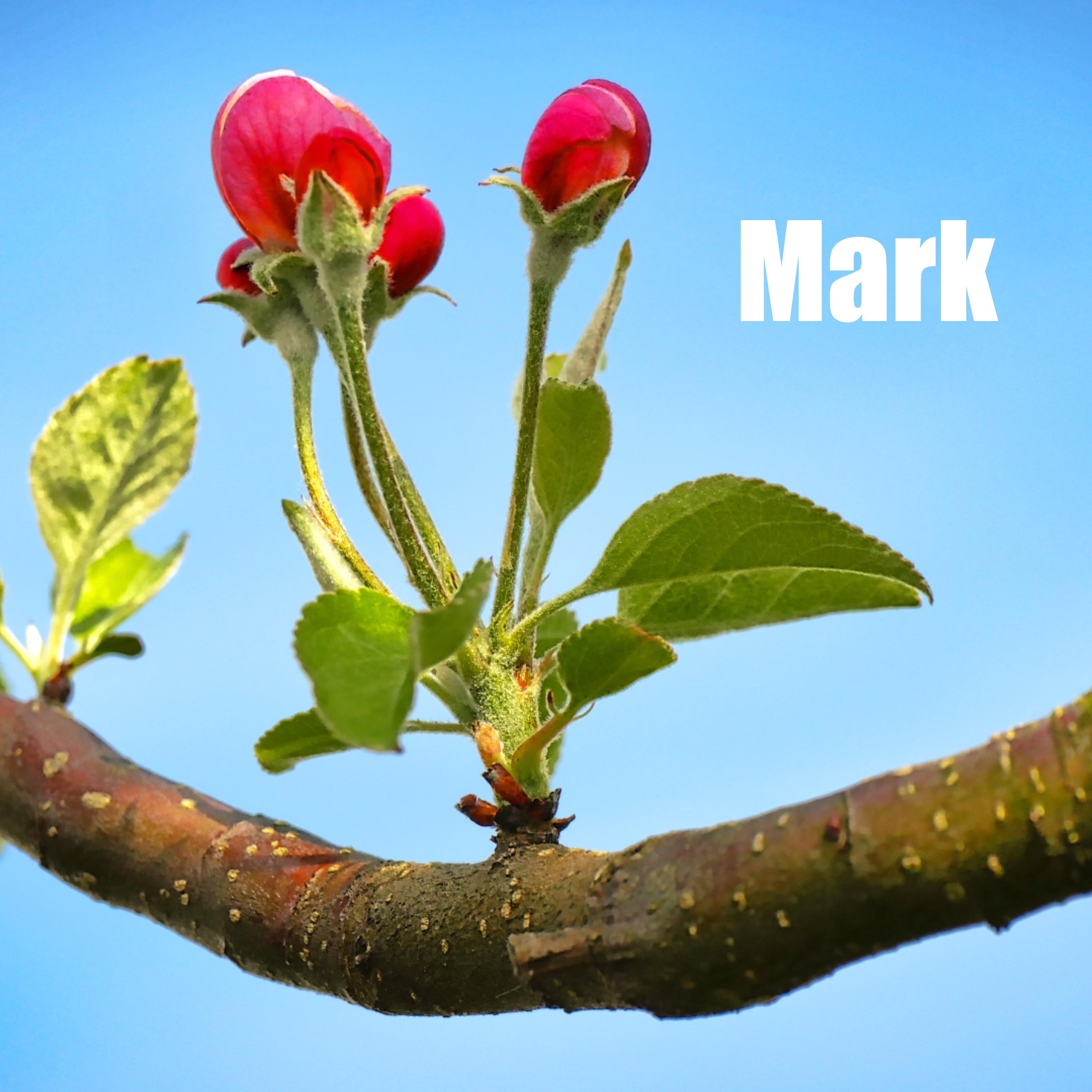 Mark
