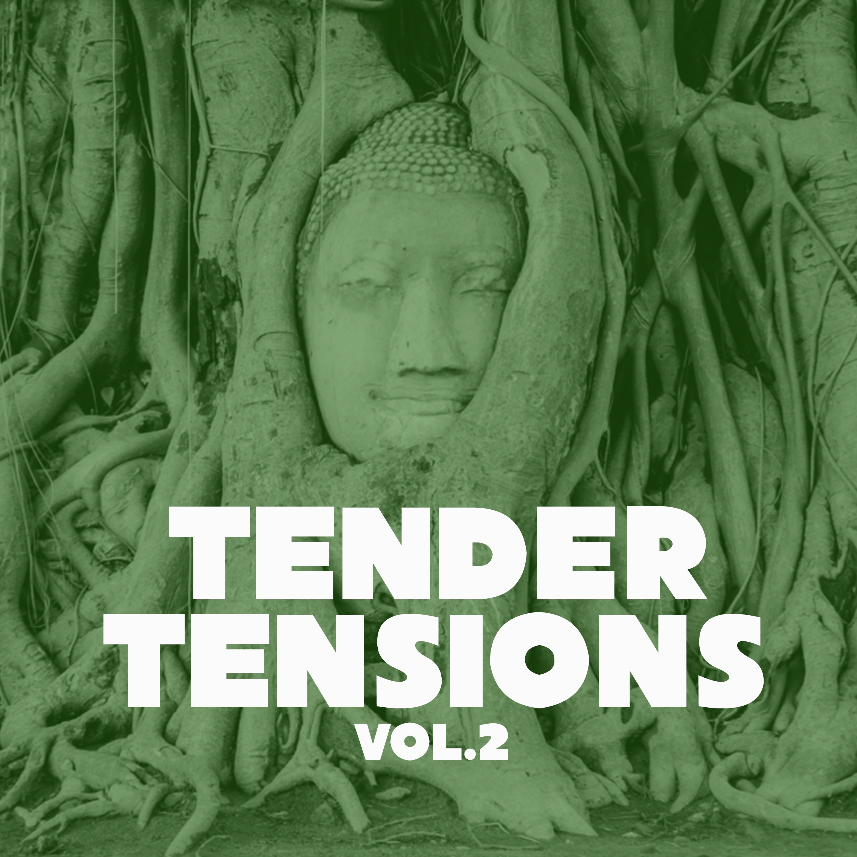 Tender Tensions, Vol. 2