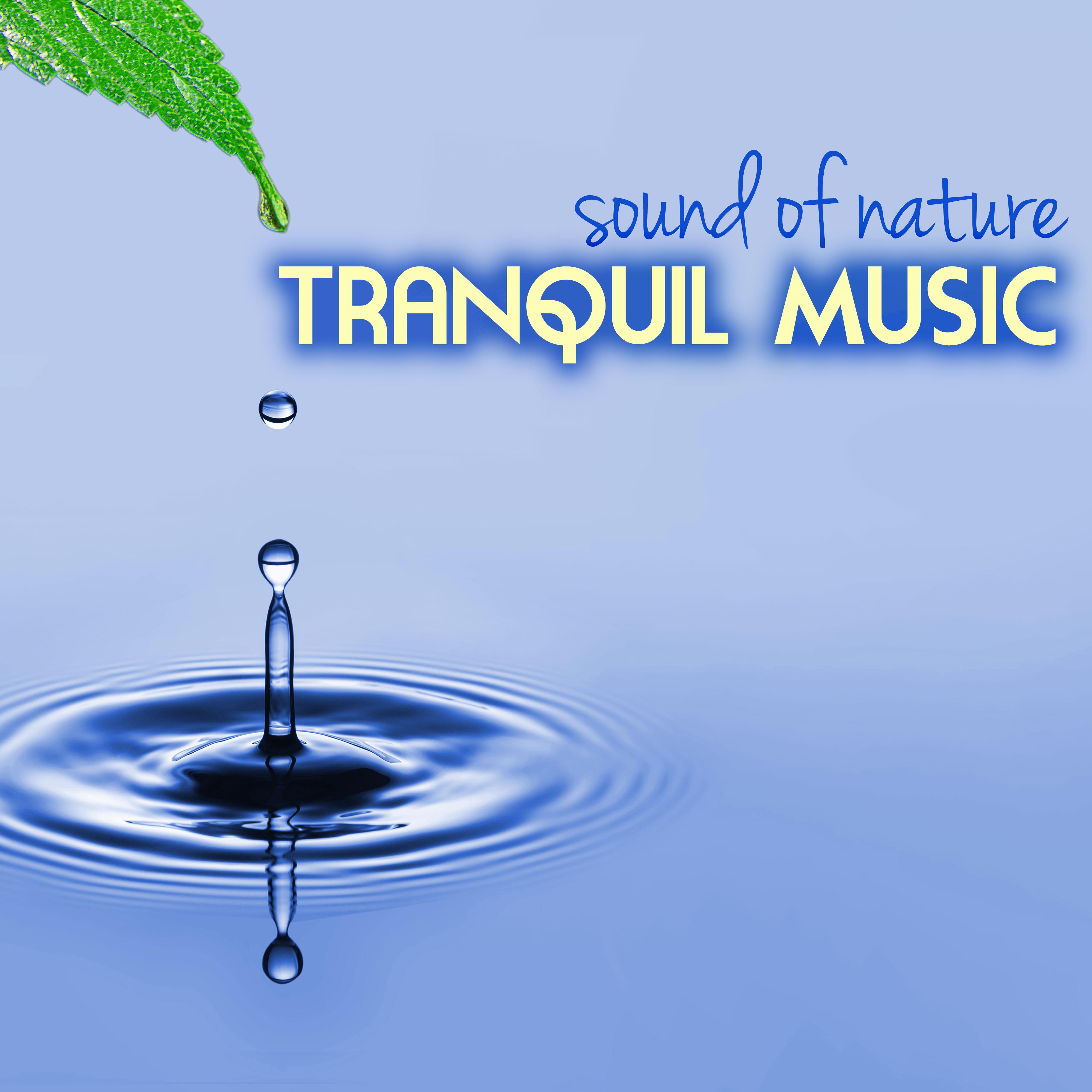 Tranquil Music with Sound of Nature