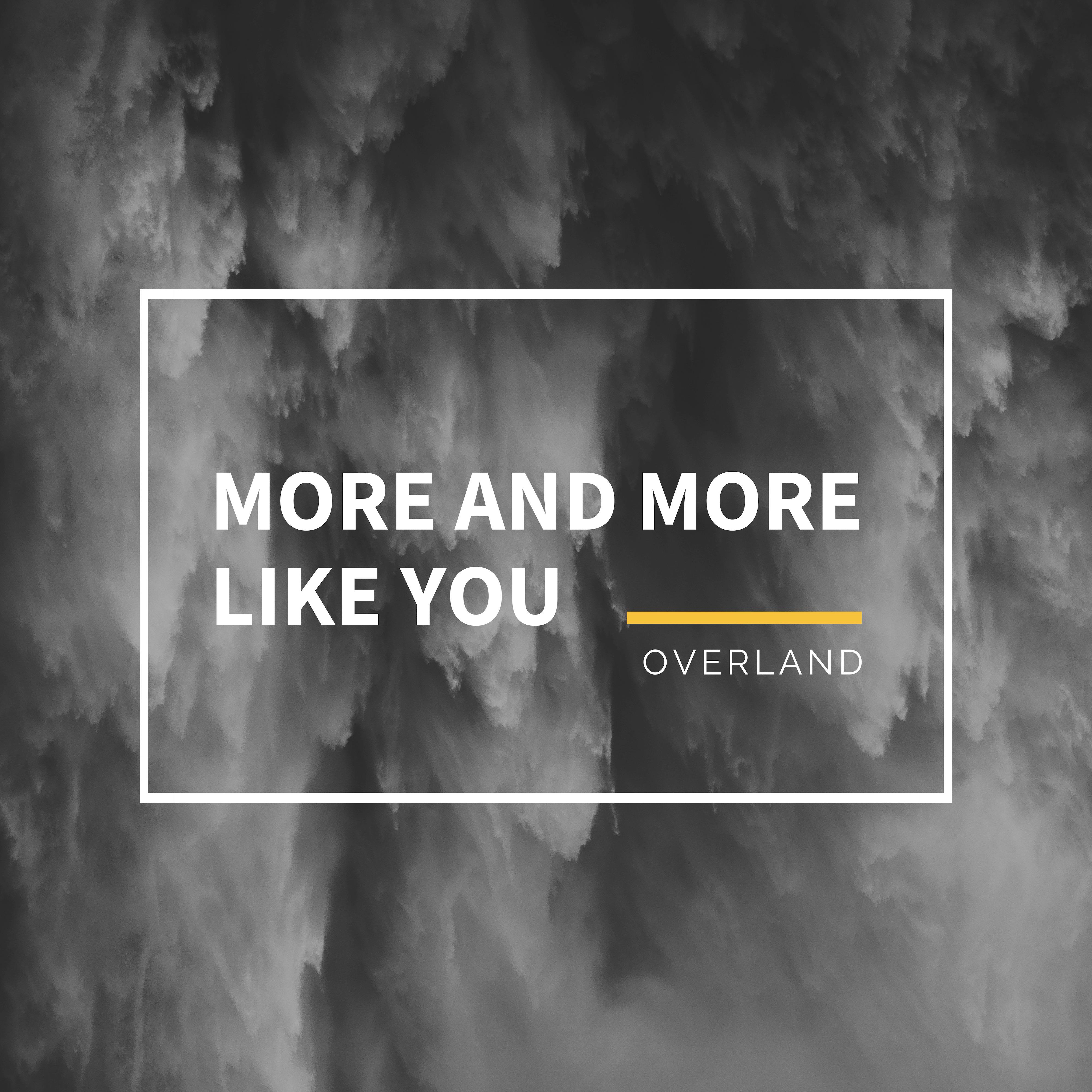 More and More Like You