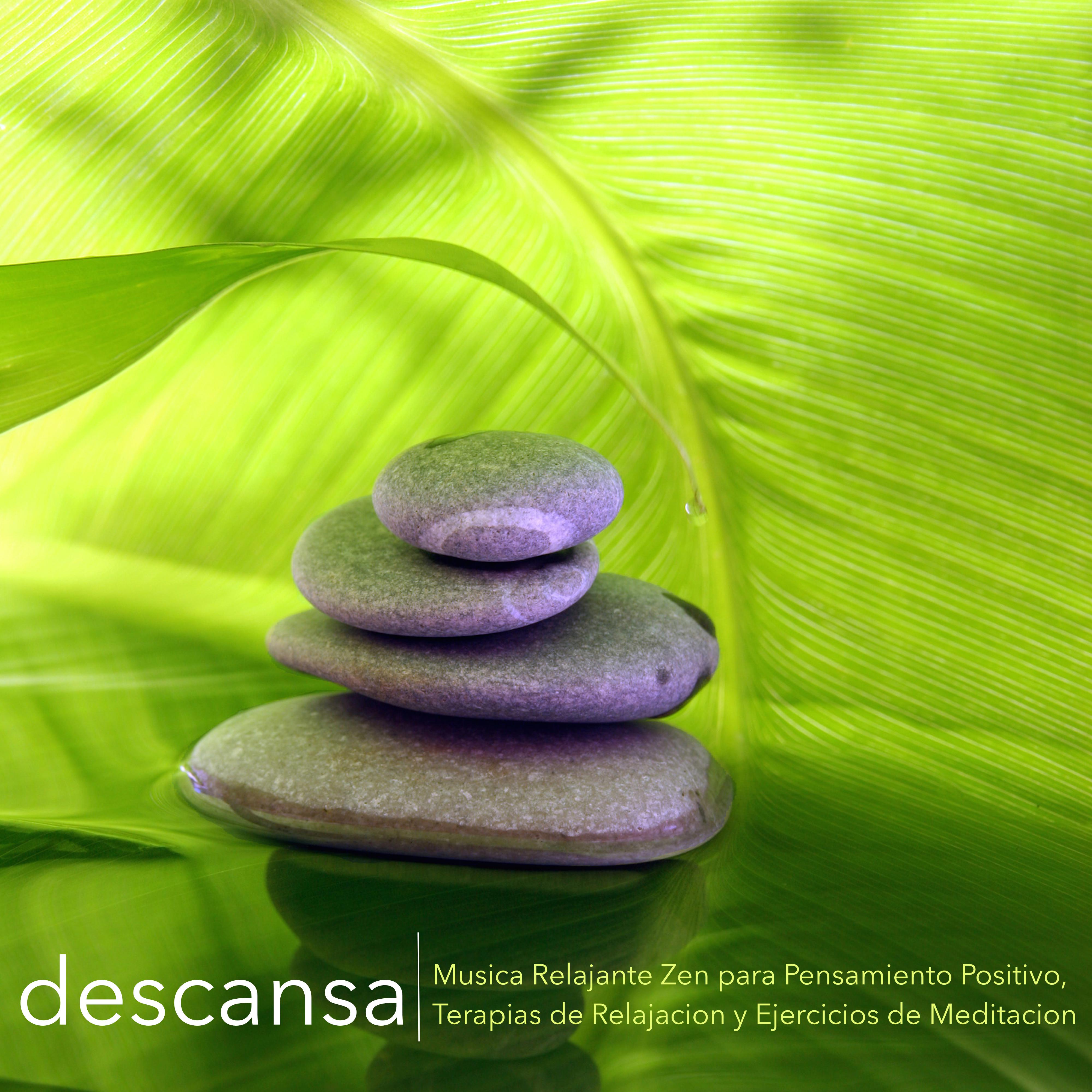 Descansa - Musica Relajante Zen para Pensamiento Positivo, Terapias de Relajacion y Ejercicios de Meditacion