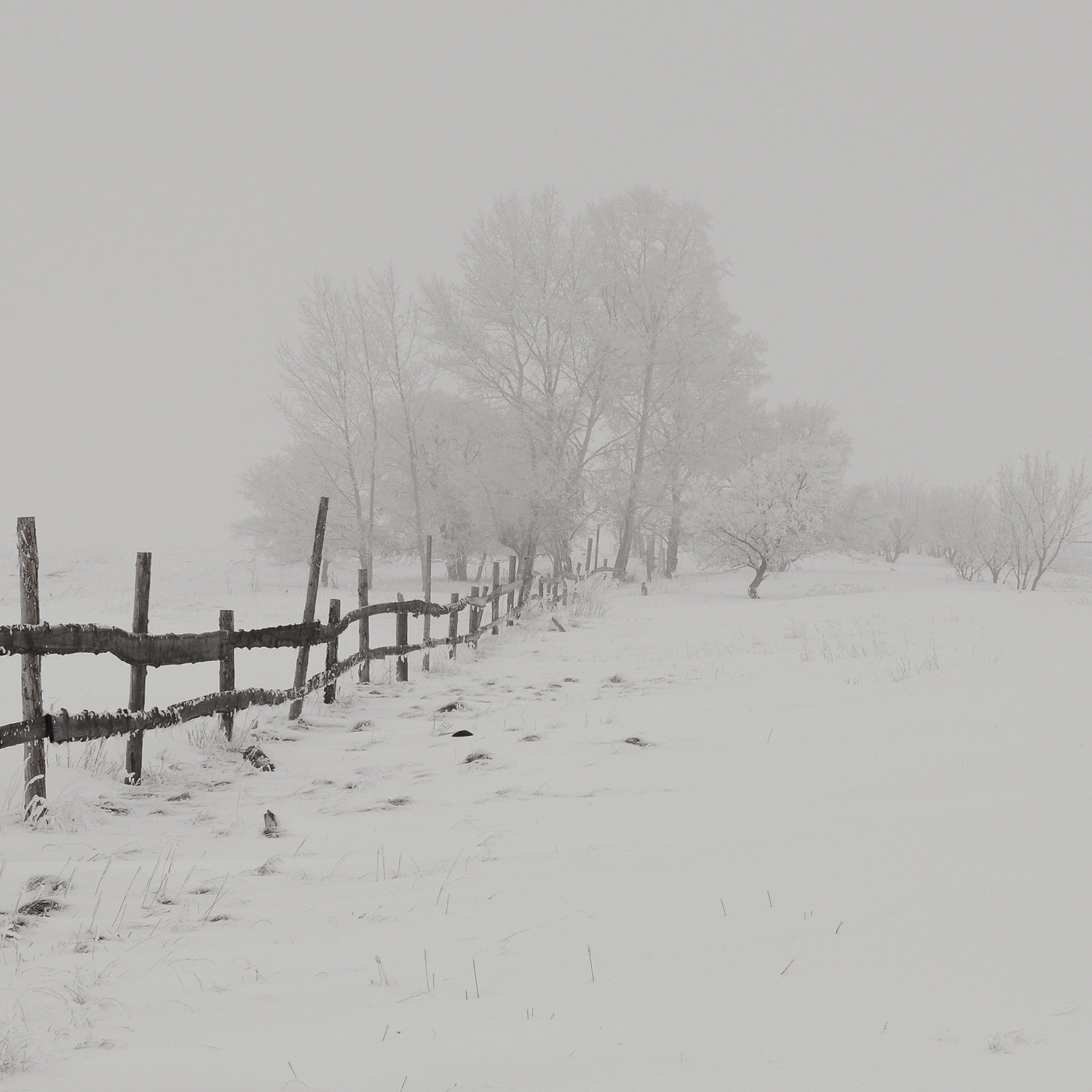 Country Love Notes for the One You Love