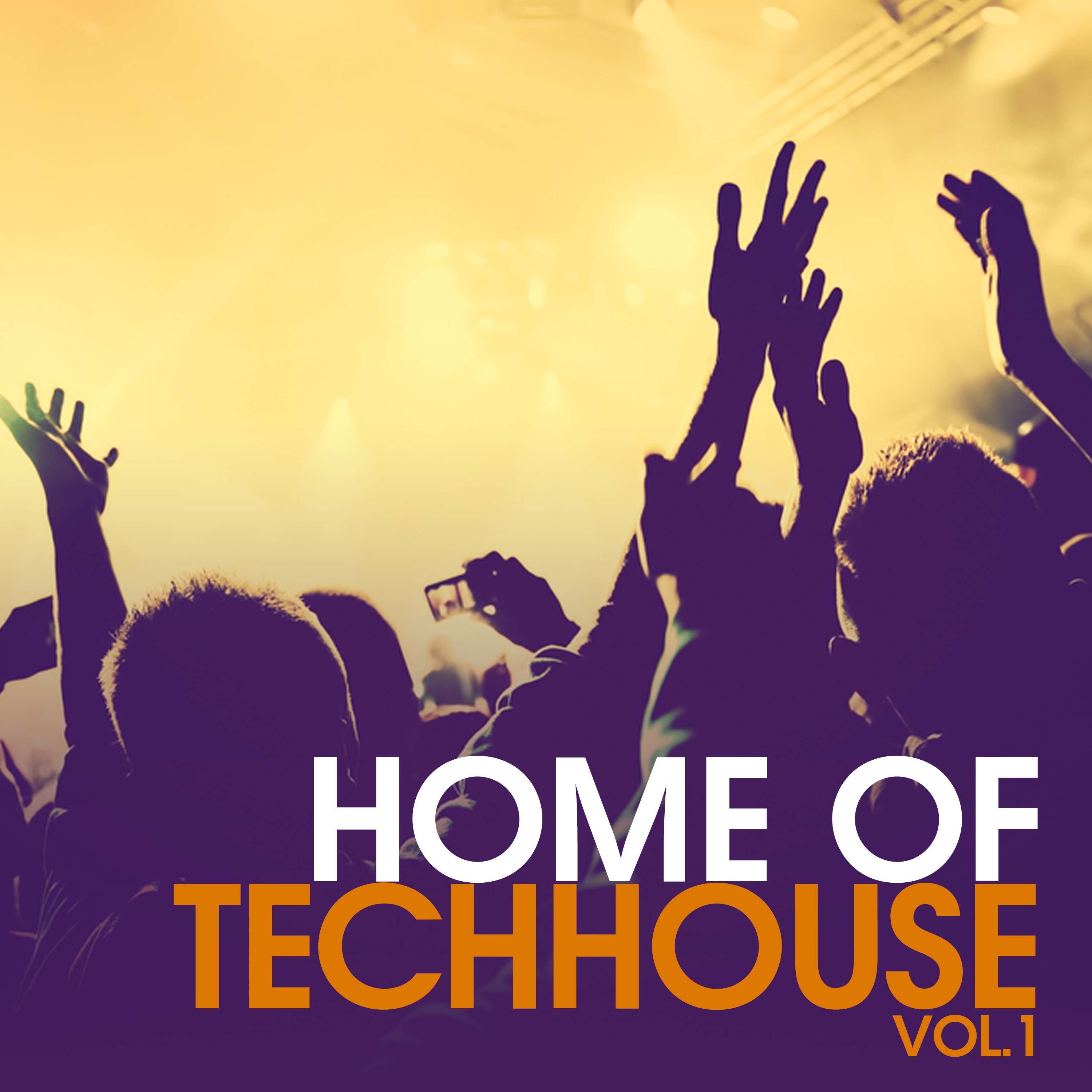 Home of Techhouse, Vol. 1