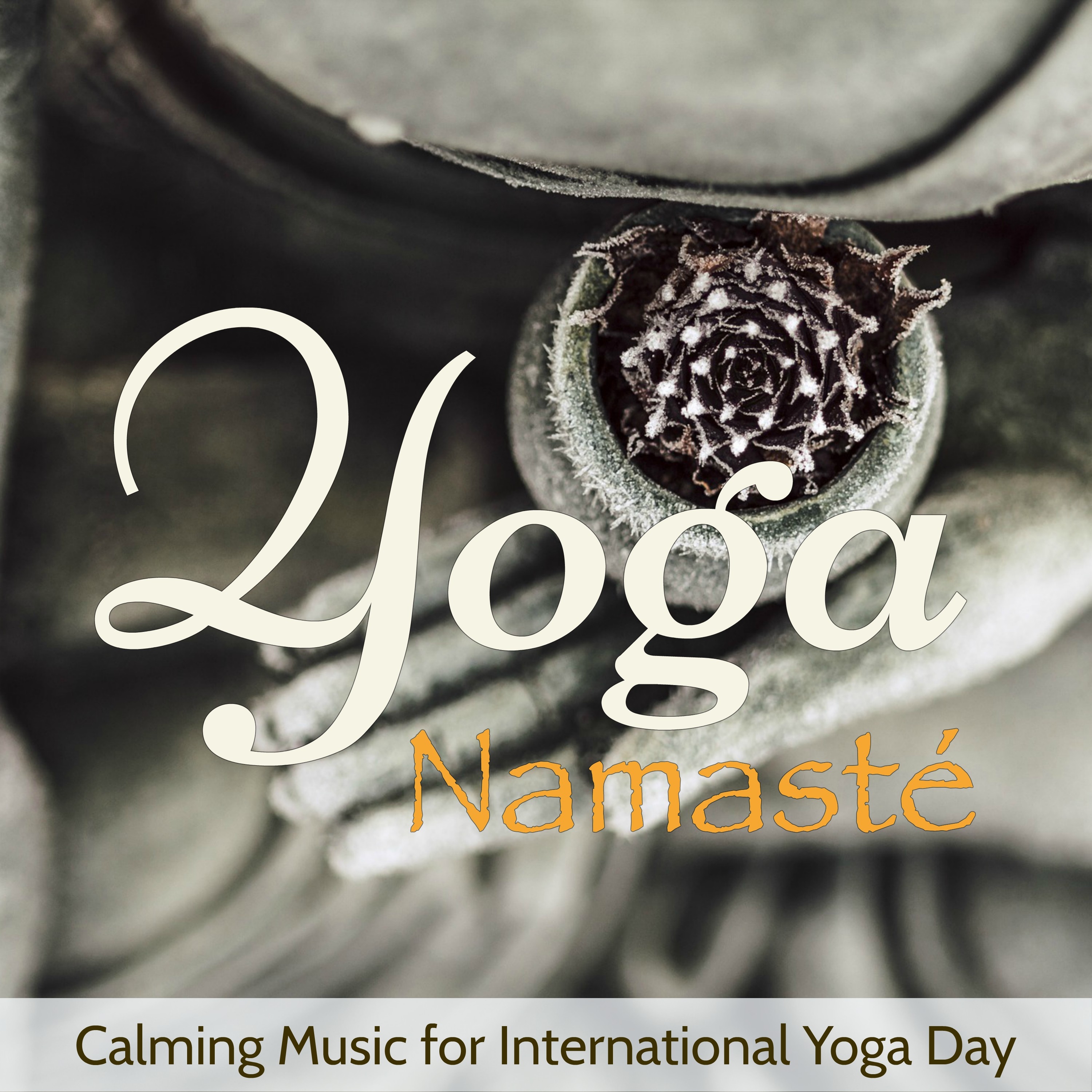 Yoga Namaste  Calming Music for International Yoga Day