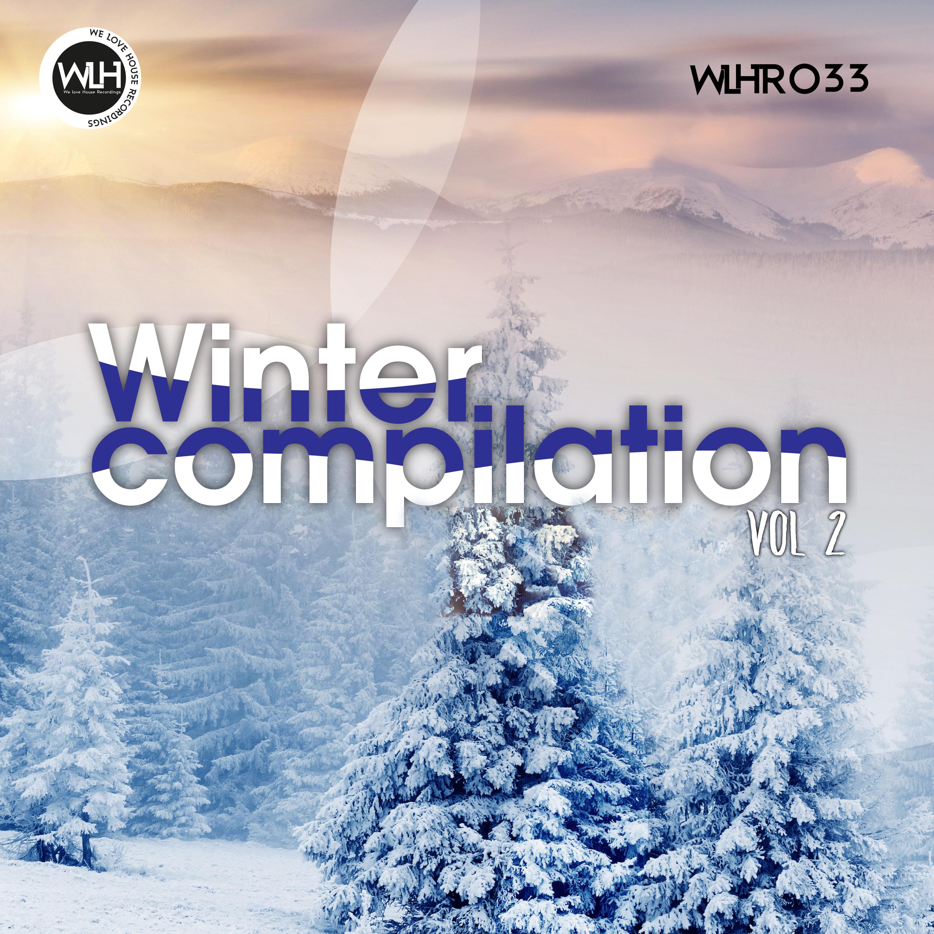 WLHR Winter Compilation, Vol. 2