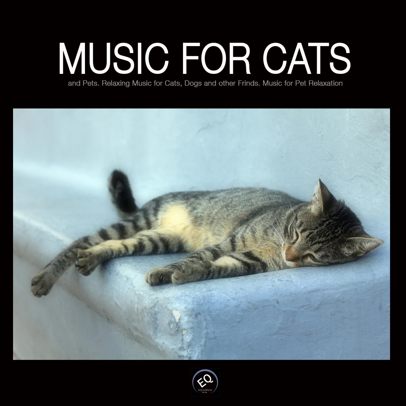 Music for Cats 4