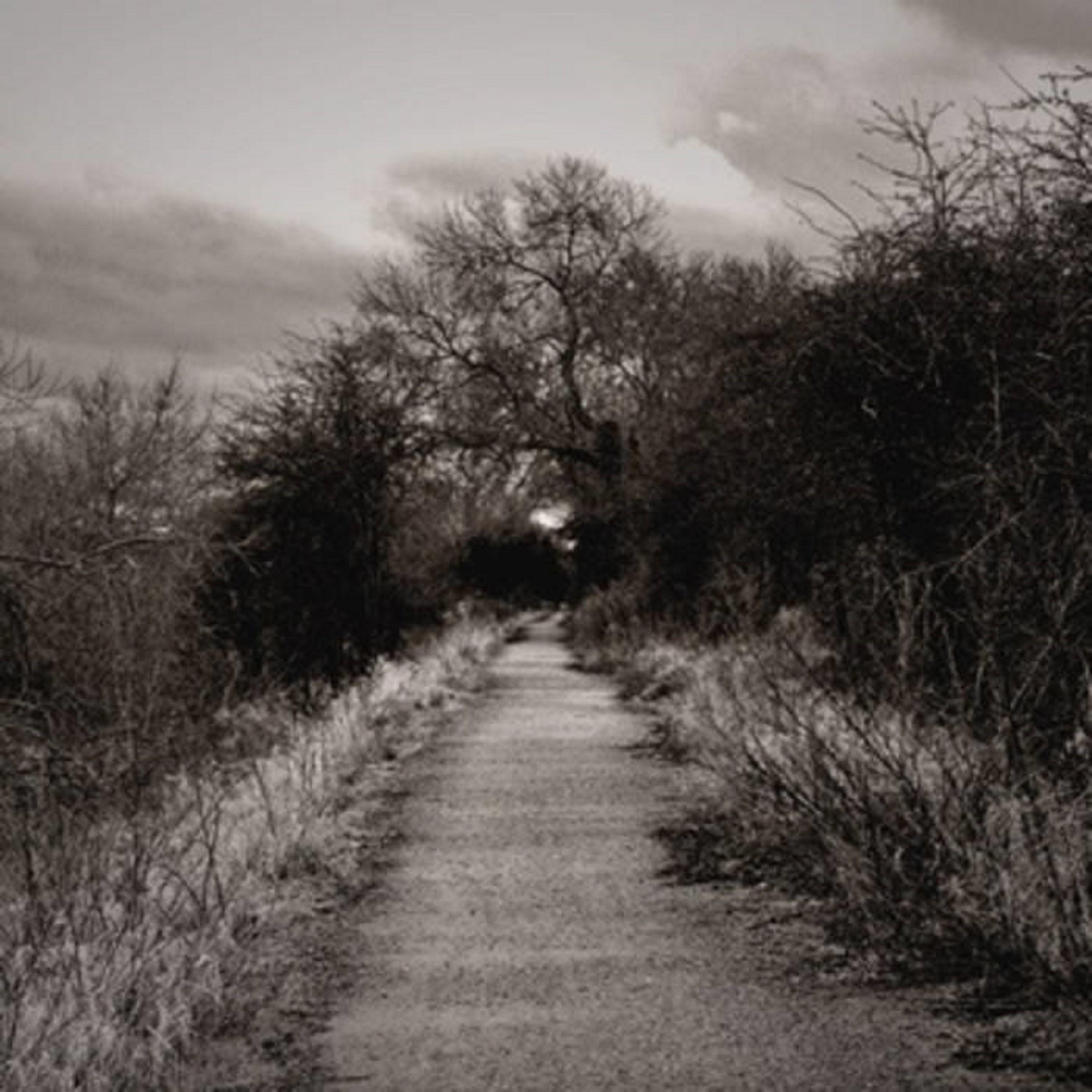Tibetan Book Of Death