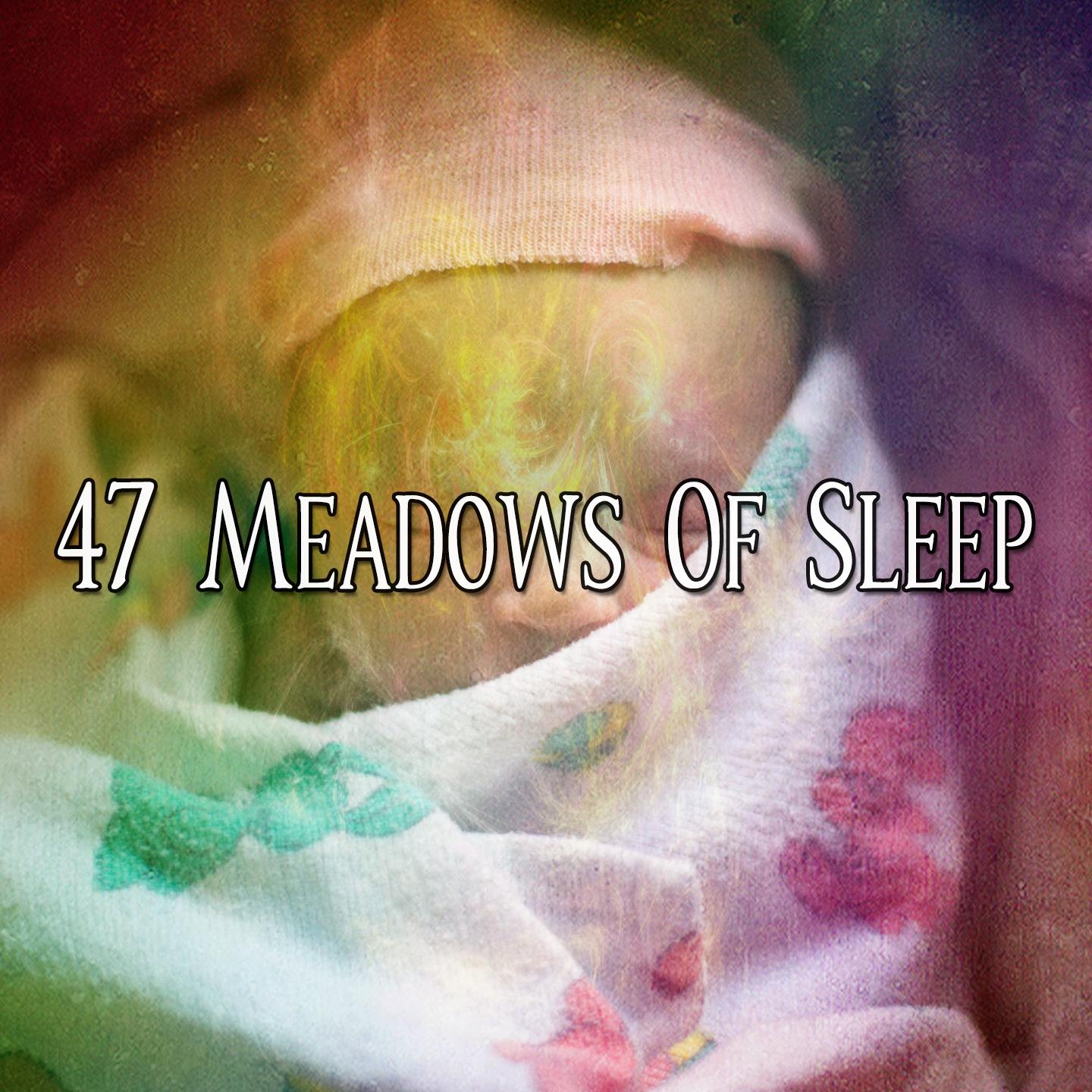 47 Meadows Of Sleep