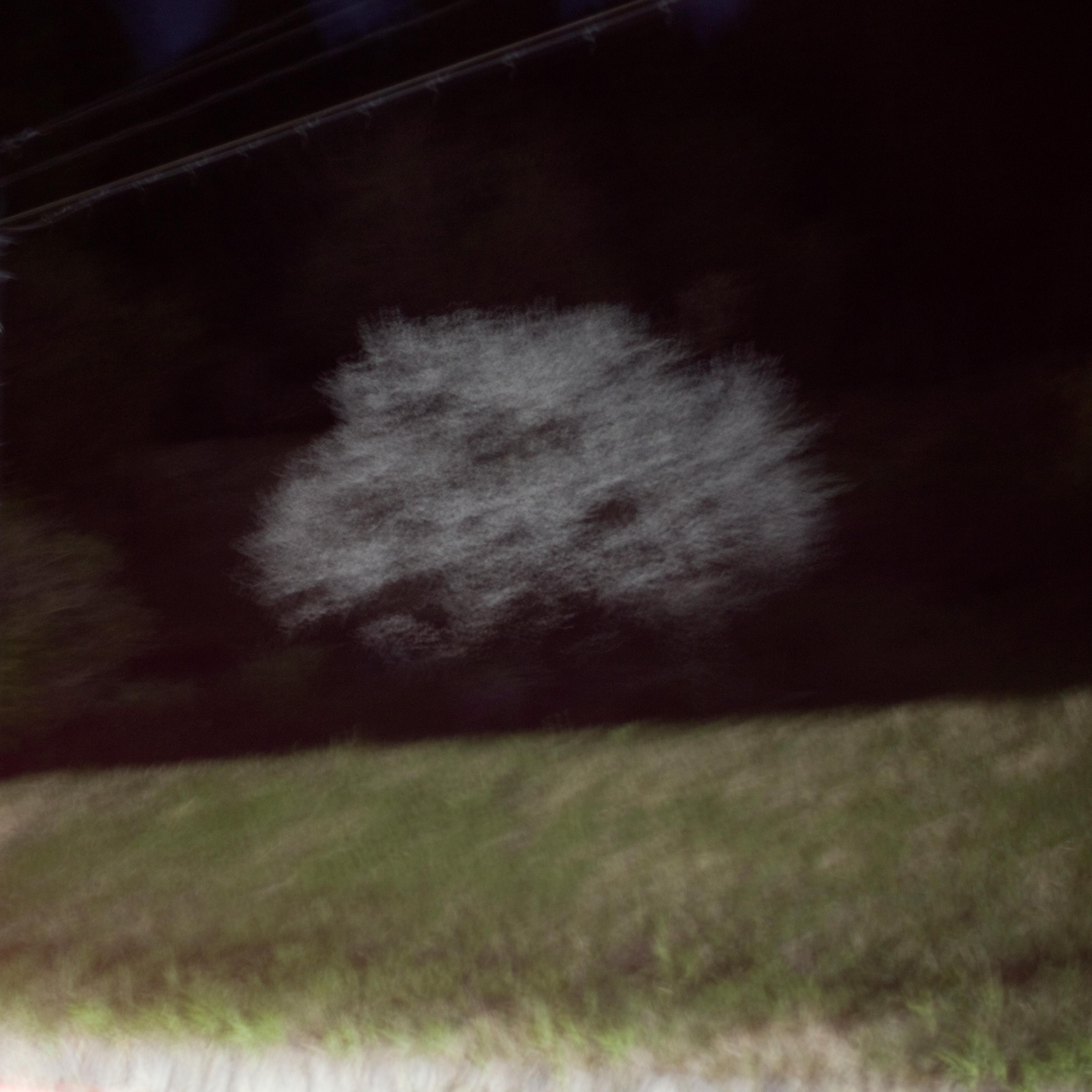 From Bloom to Bust, Pt. IV