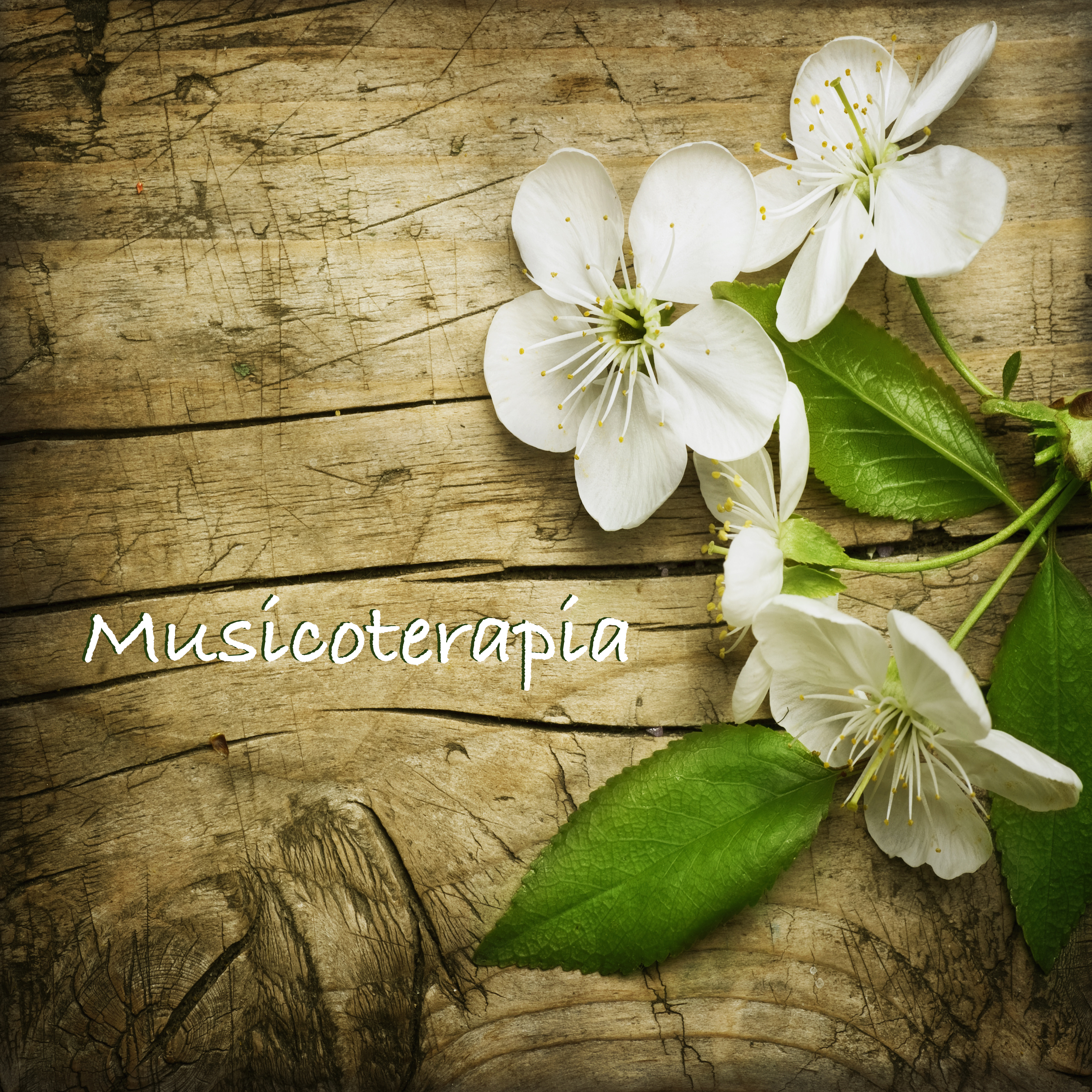 Musicoterapia  Canzoni per Rilassarsi e Meditare Profondamente, Musica per Training Autogeno e Spiritualita