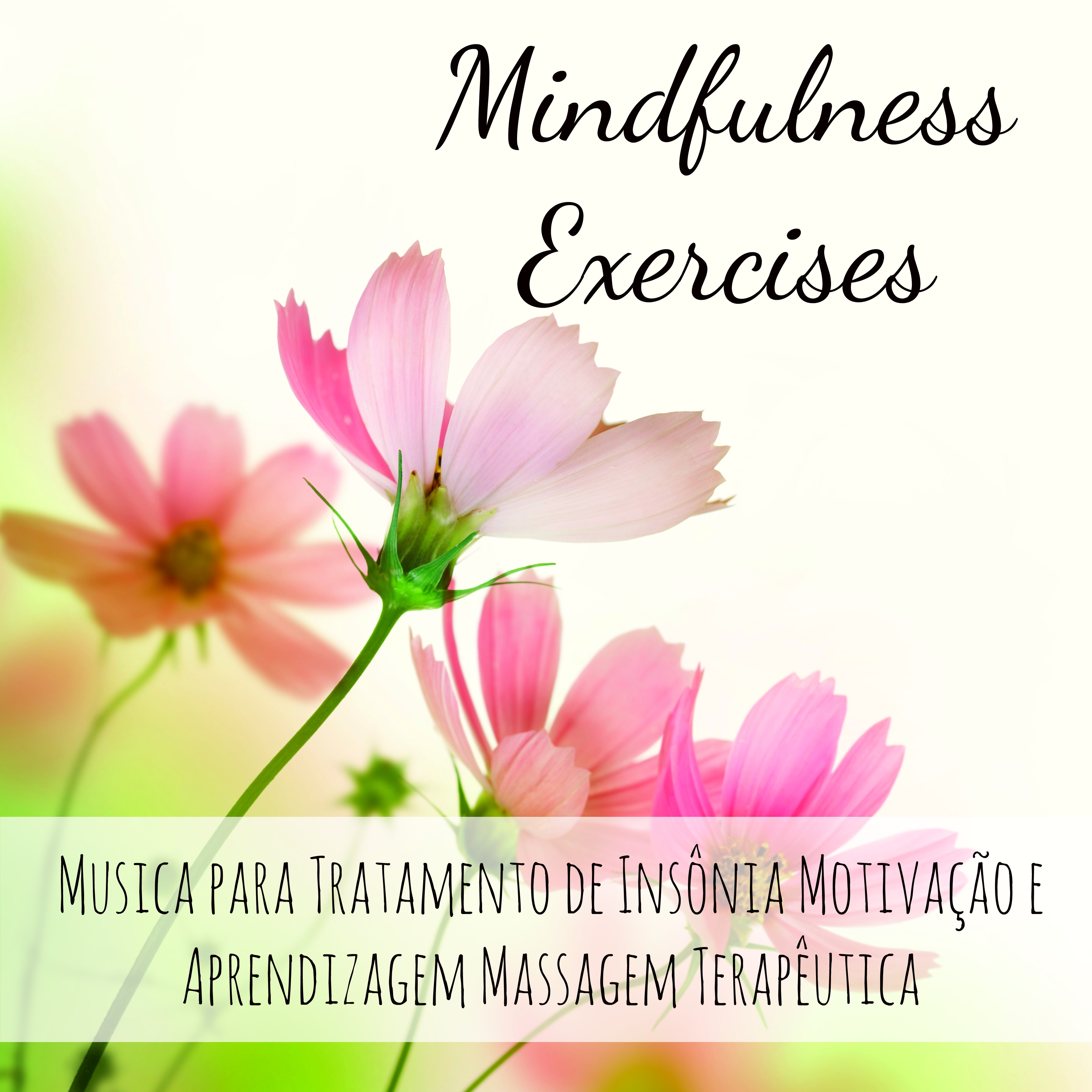 Mindfulness Exercises  Musica para Tratamento de Ins nia Motiva o e Aprendizagem Massagem Terap utica con Sons New Age Instrumentais
