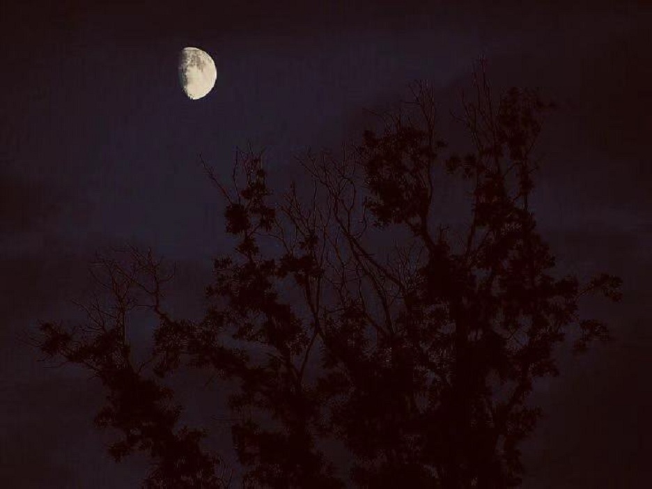 GOD BLESS THE DEAD .