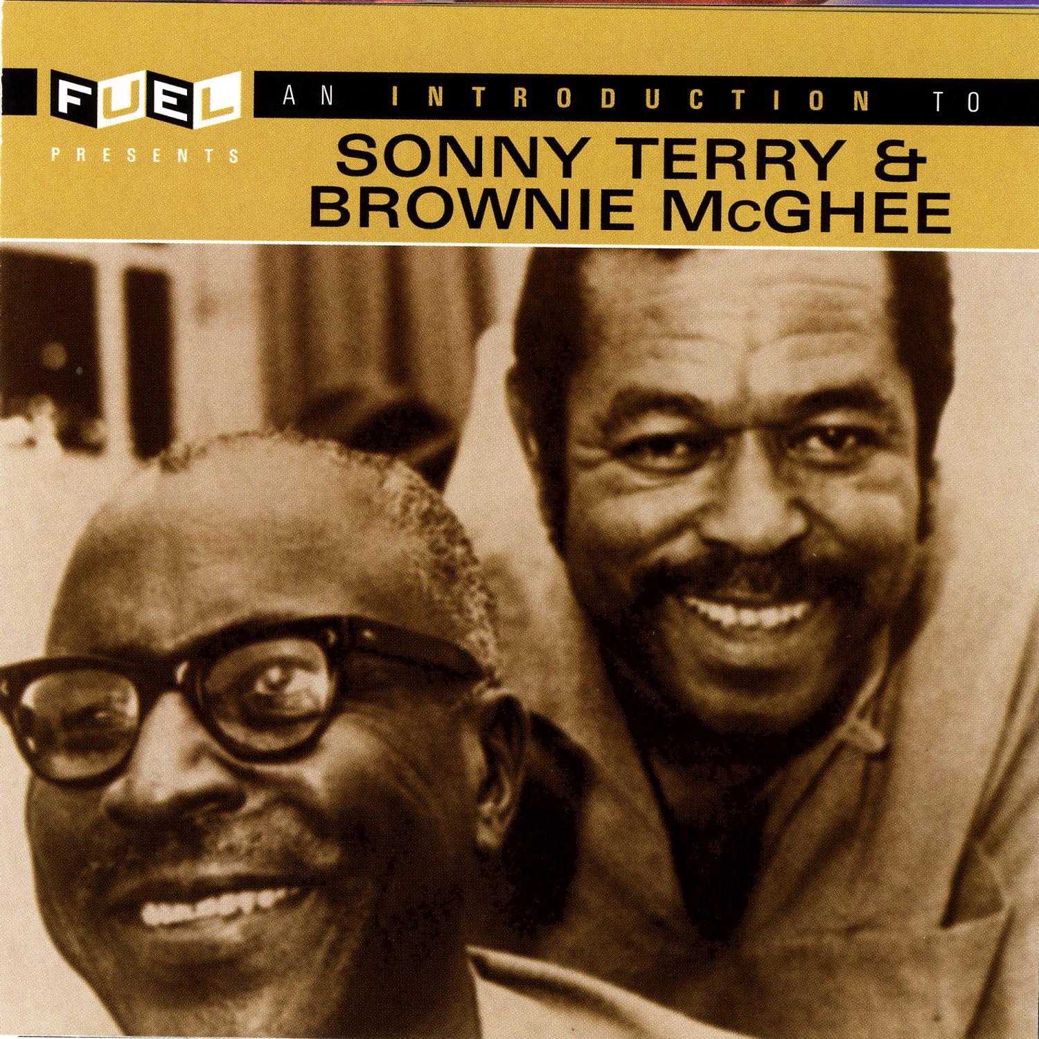 An Introduction To Sonny Terry & Brownie McGhee