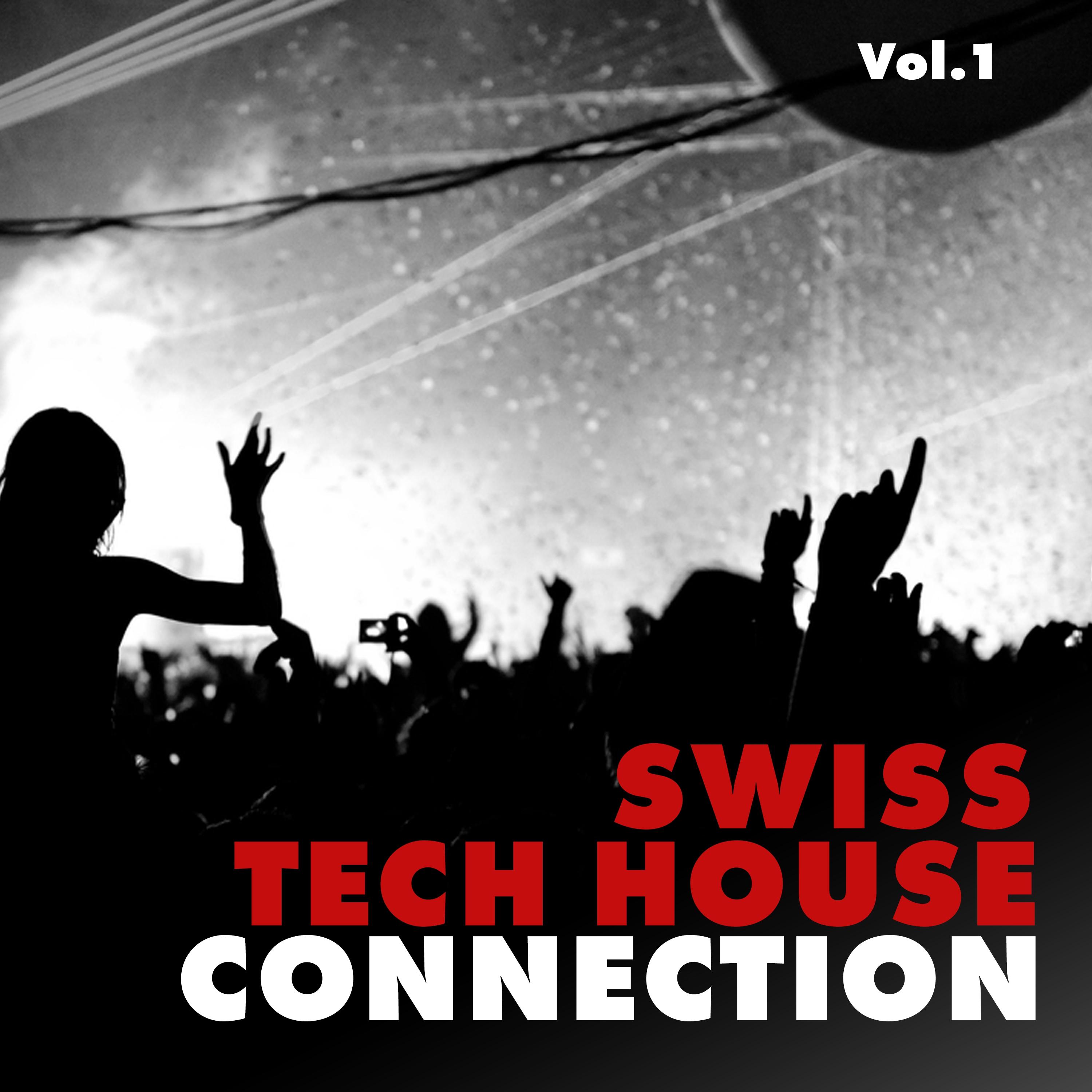Swiss Tech House Connection, Vol. 1