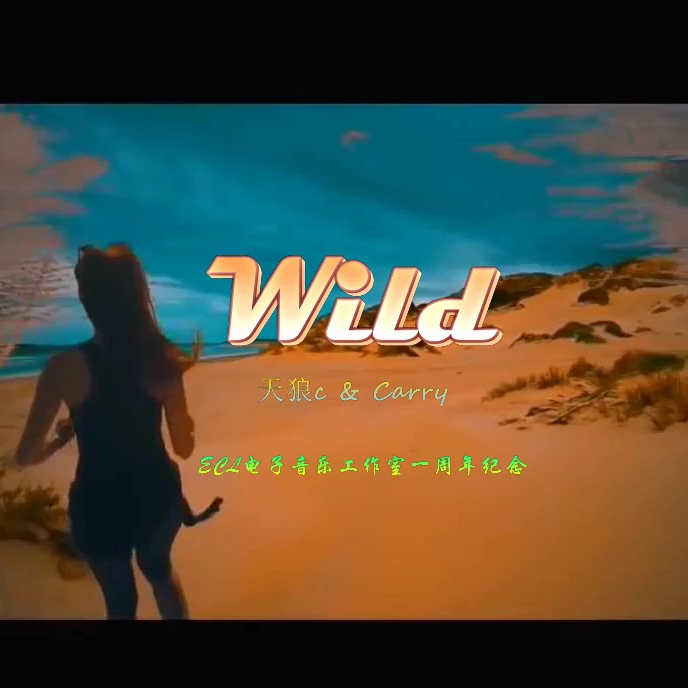 ECL dian zi yin yue gong zuo shi yi zhou nian ji nian