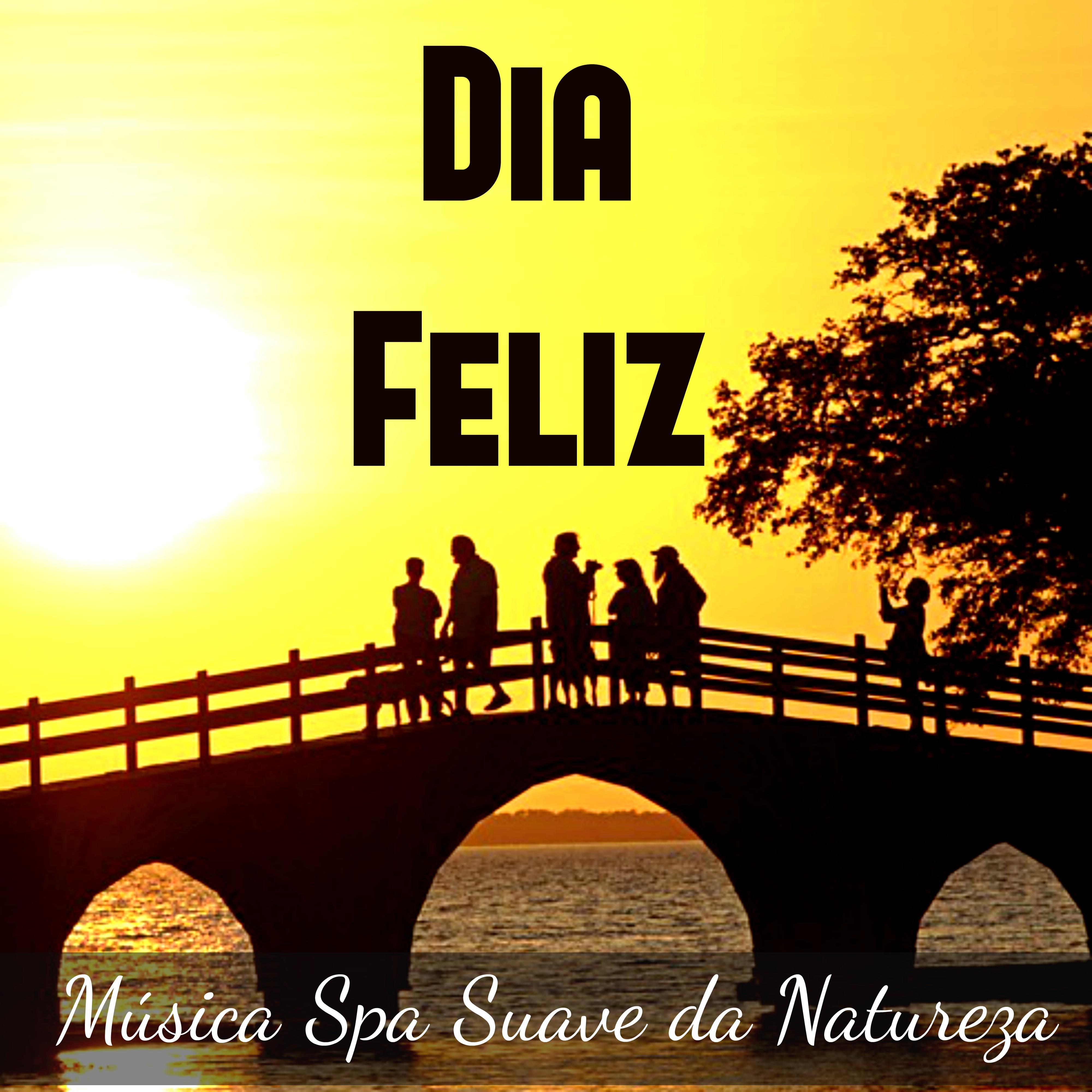 Dia Feliz  Mu sica Spa Suave da Natureza para Alinhamento dos Chakras Equilibrio Emocional Massagem Terap utica com Sons New Age Instrumentais
