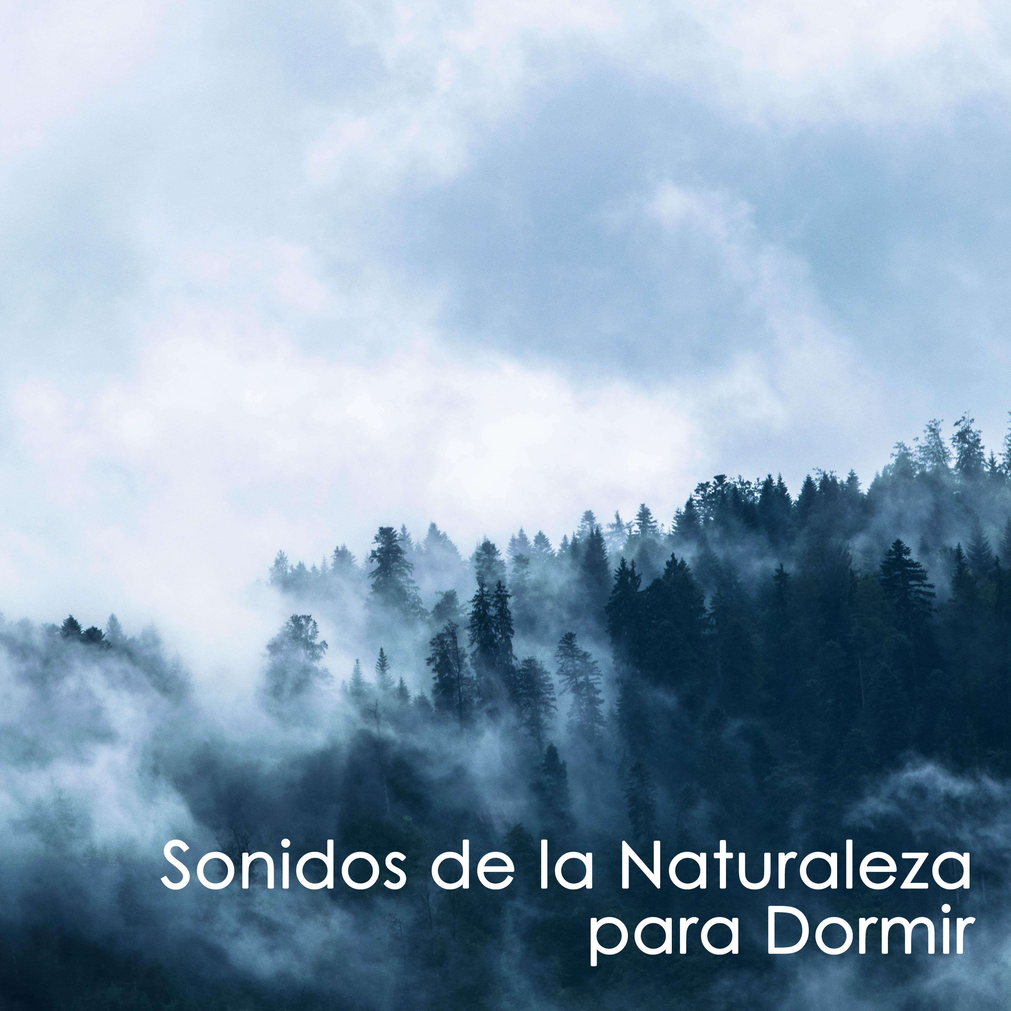 Sonidos de la Naturaleza para Dormir - Musicas Relajantes para Dormir Profundamente (Piano New Age)