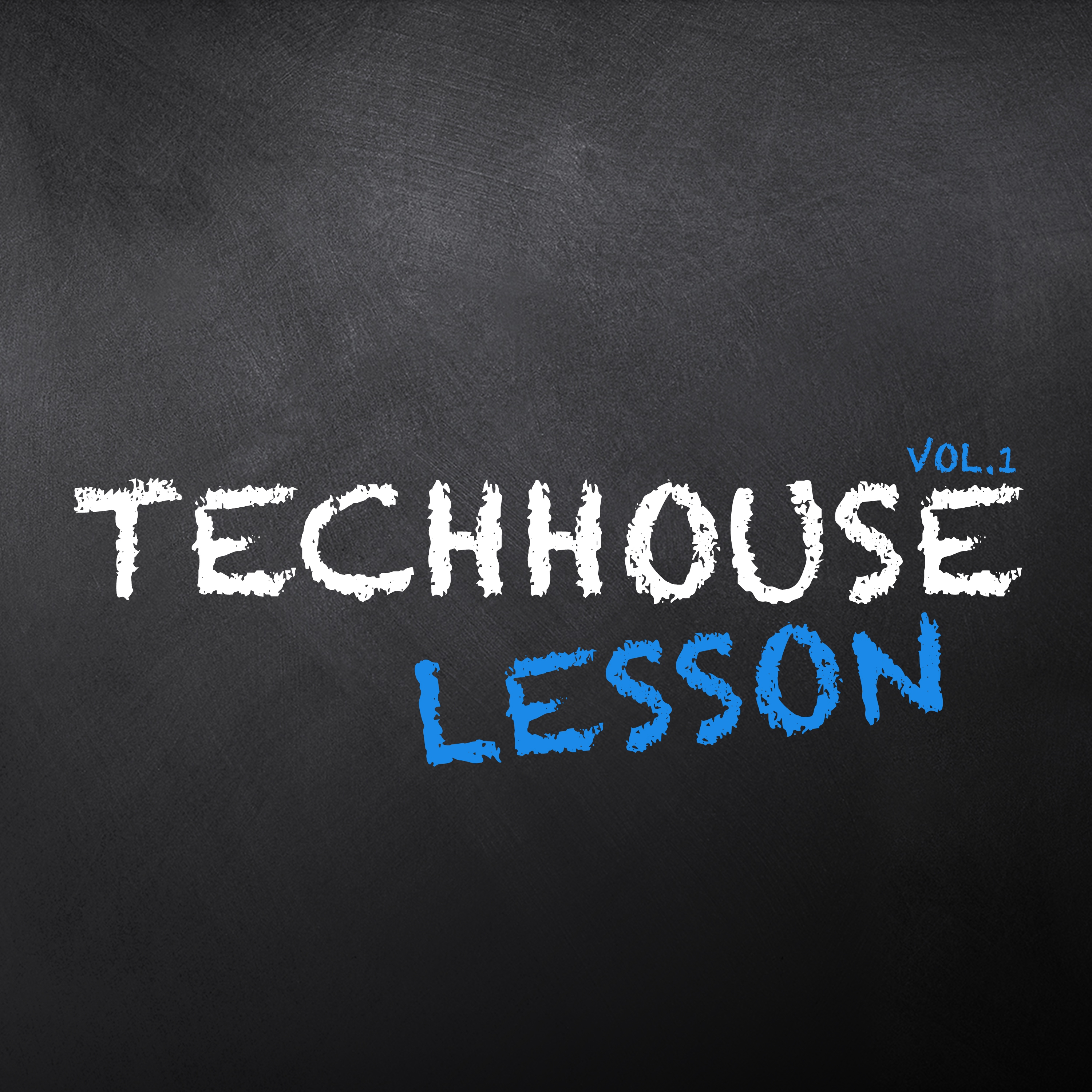 Techhouse Lesson, Vol. 1