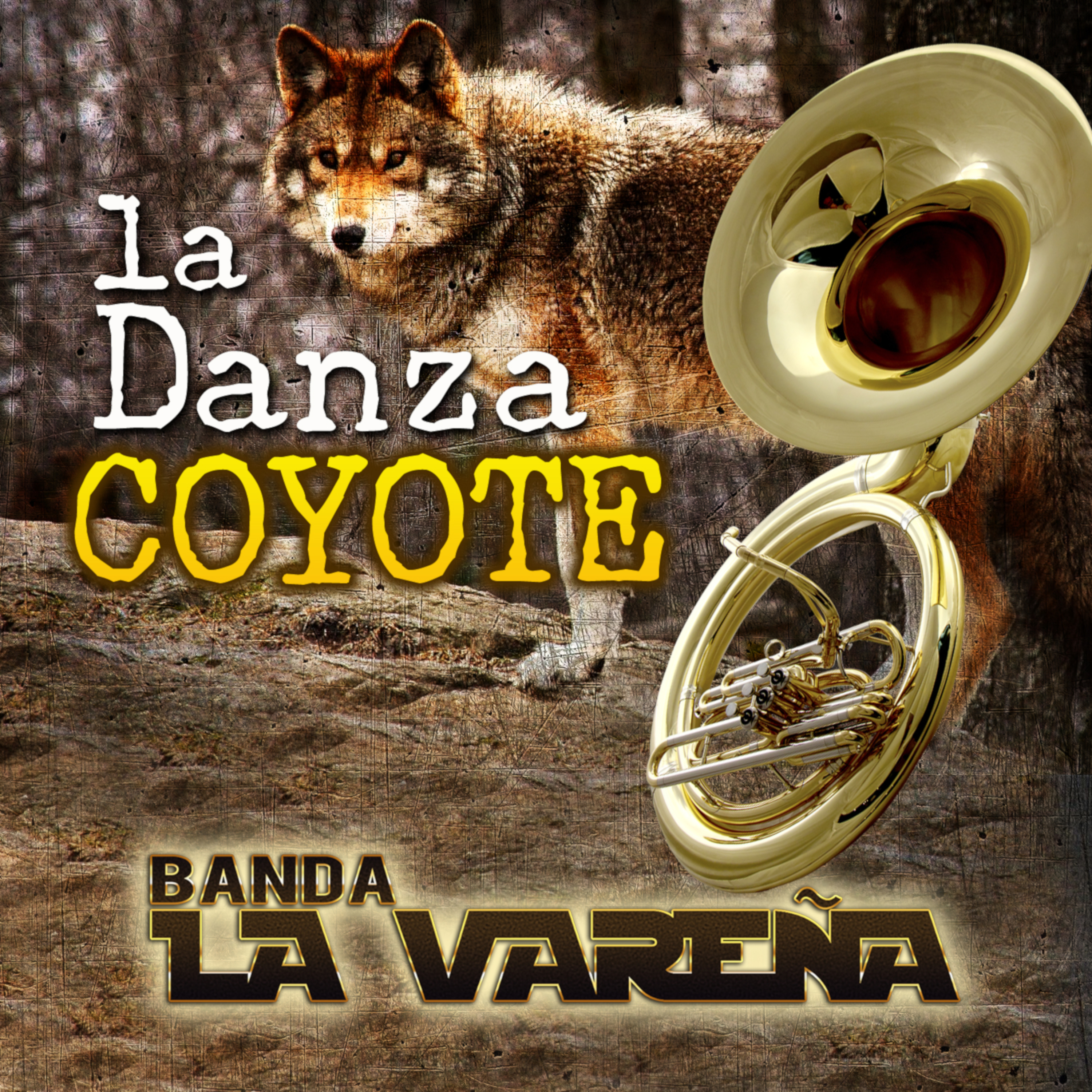 Caballo Prieto Azabache