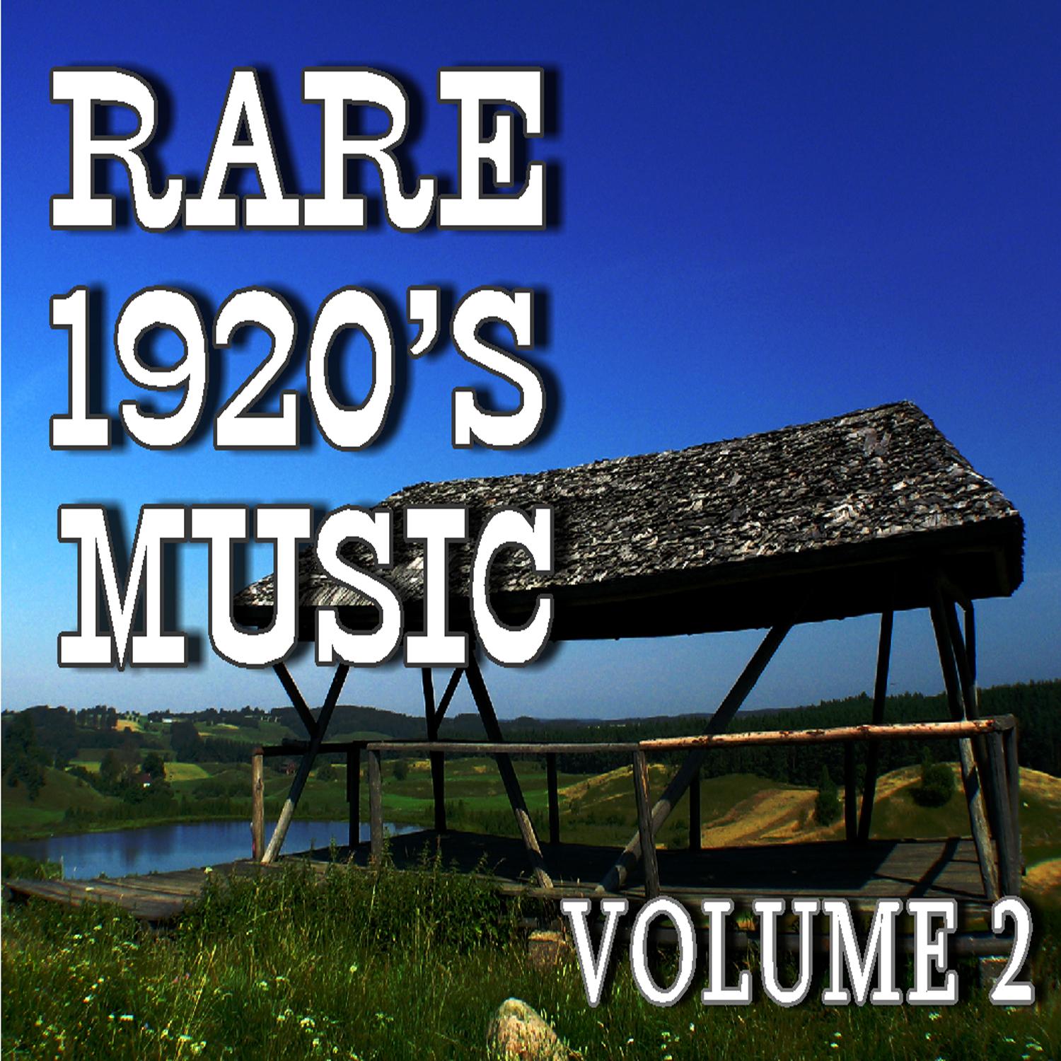 Rare 1920's Music, Vol. 2
