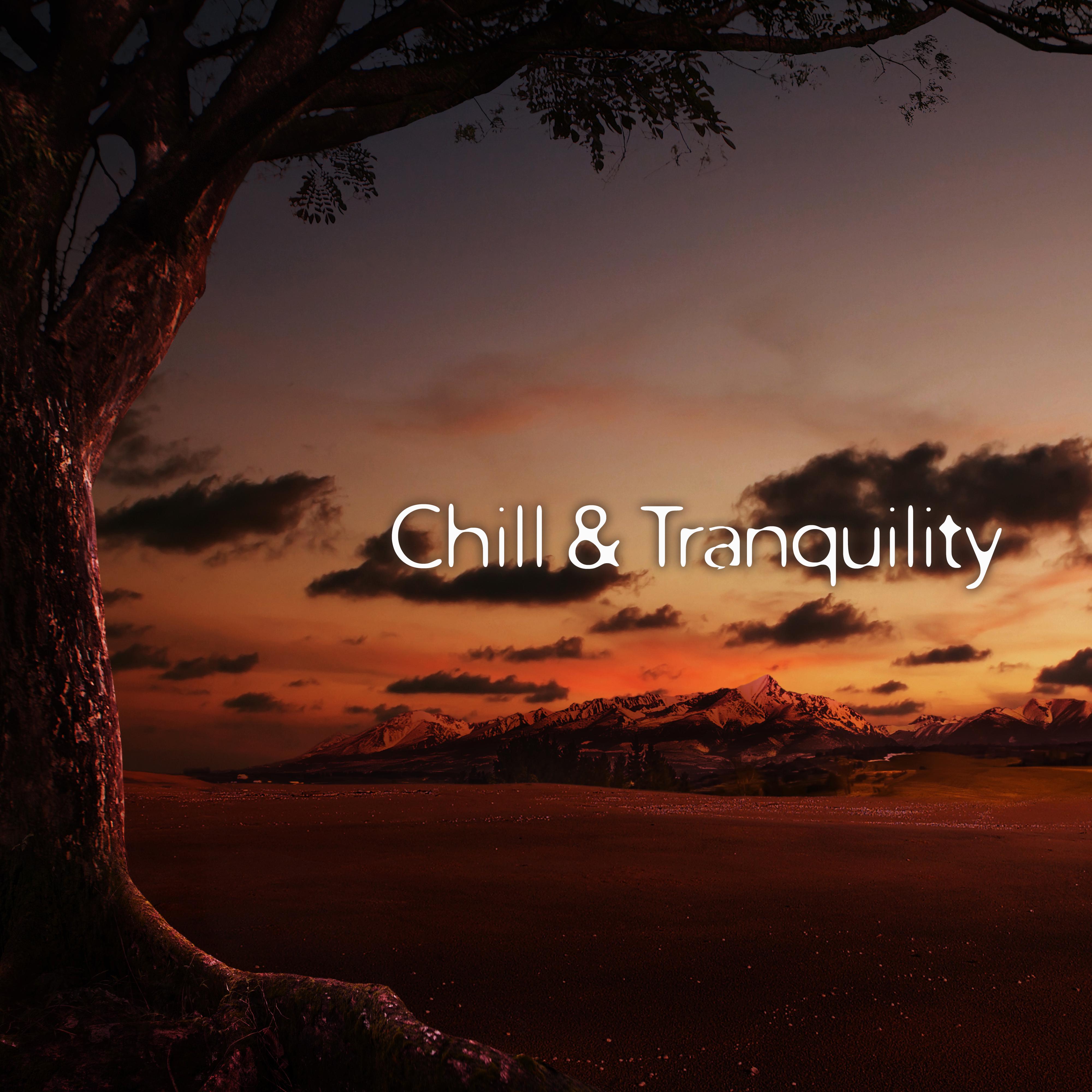 Chill  Tranquility  Deep Relief, Nature Sounds to Rest, Ambient Music, Perfect Relax, Soothing Music