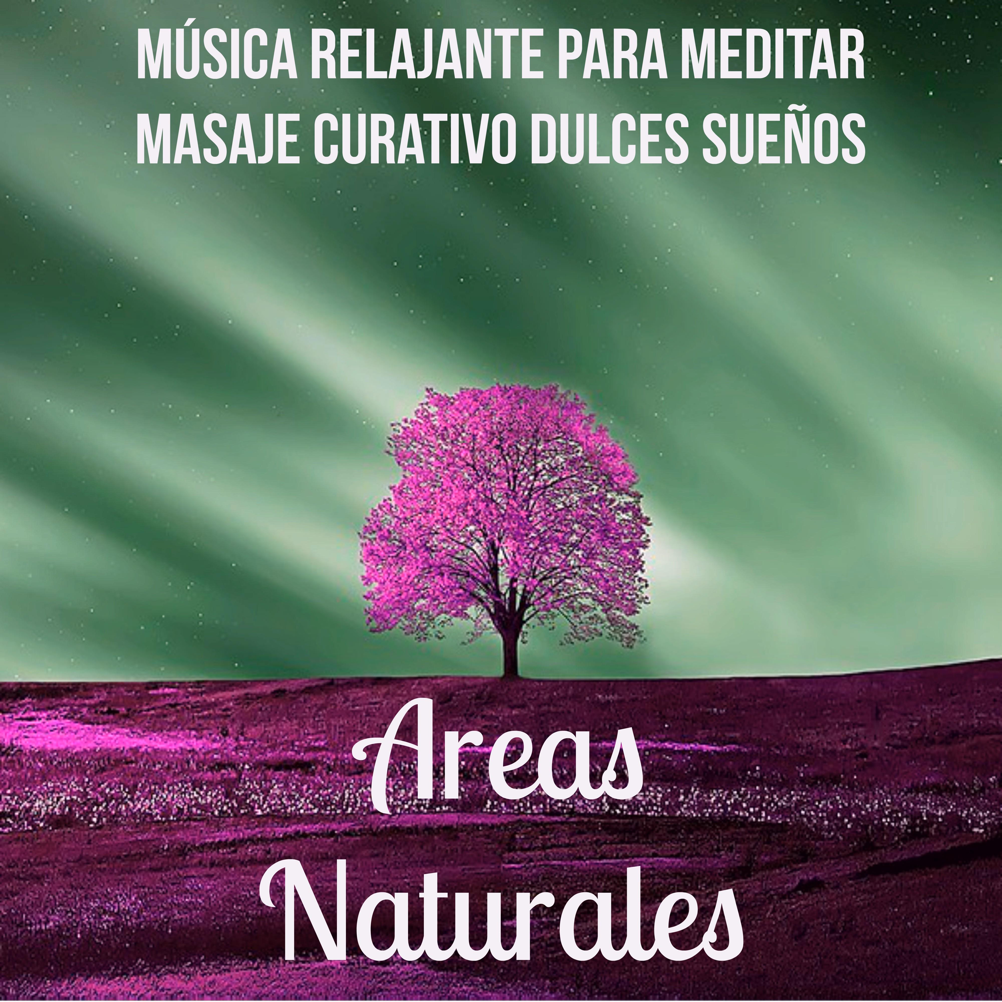 Areas Naturales  Mu sica Relajante para Meditar Masaje Curativo Dulces Sue os con Sonidos Naturales Calmantes Espirituales