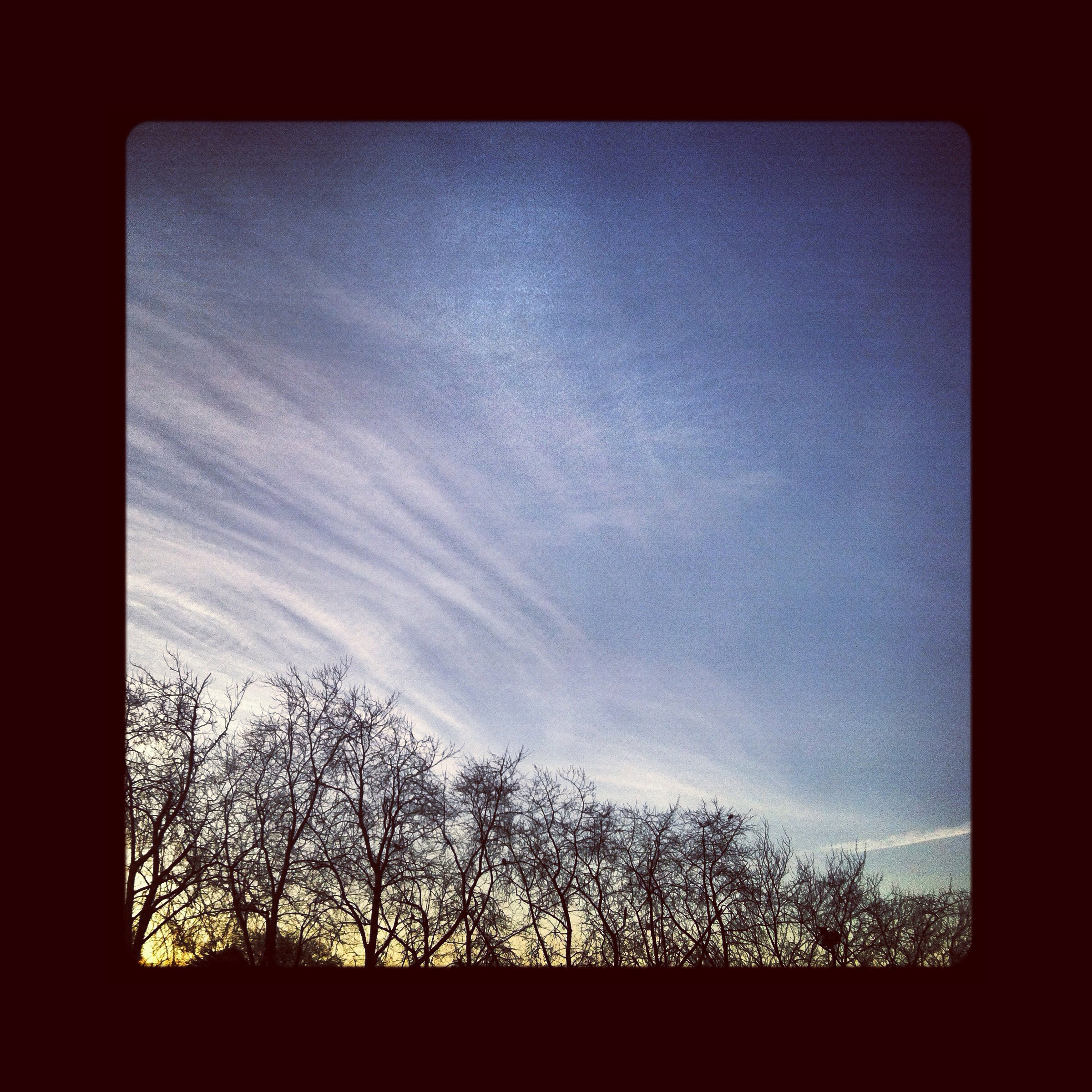 Your Roots, Your Bones