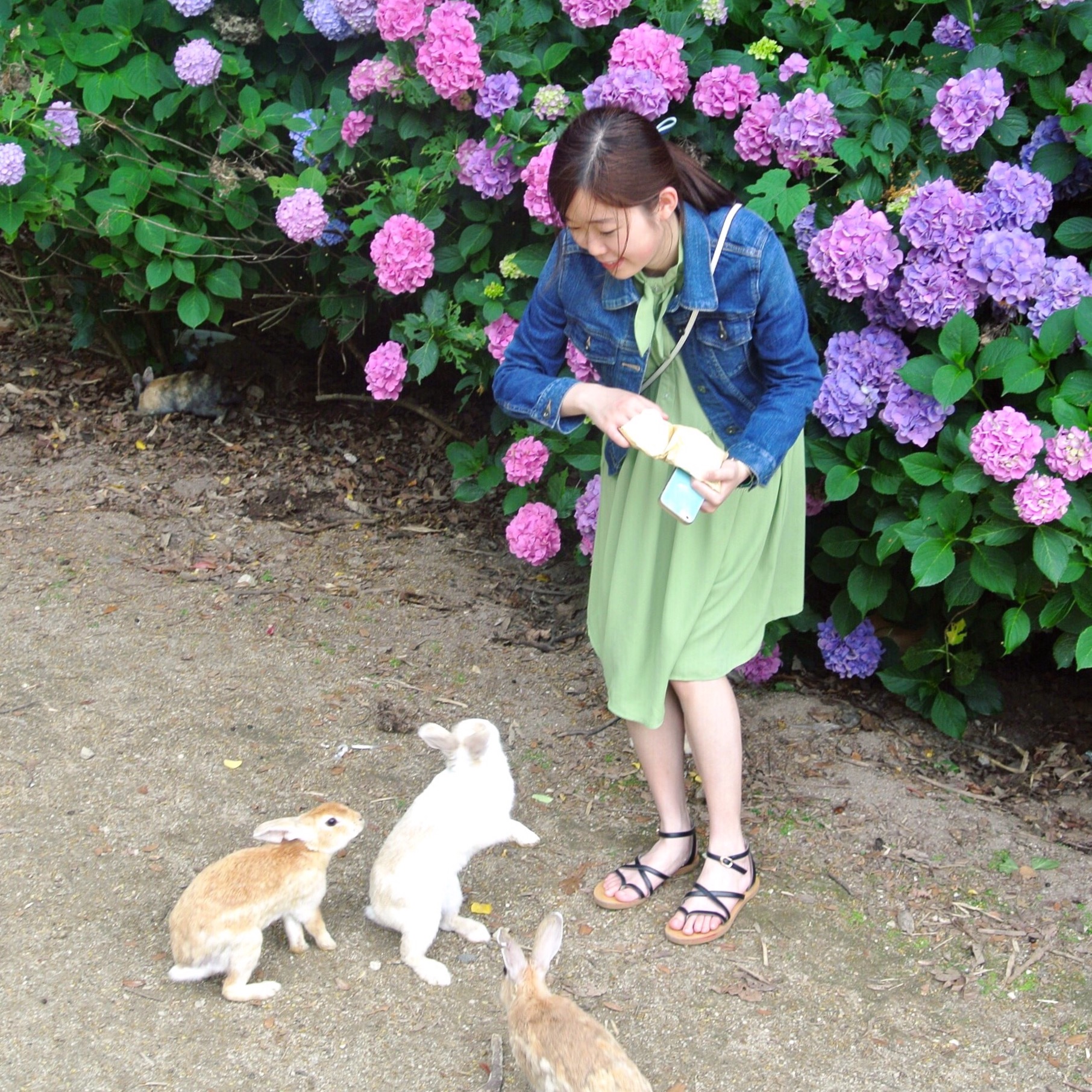 bo zi qi shui wei bing qi lin