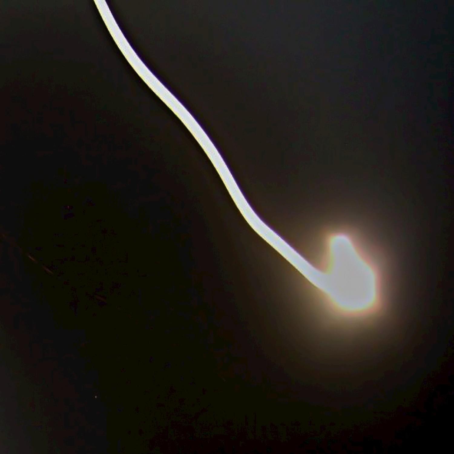 Gia & the Munchkin's