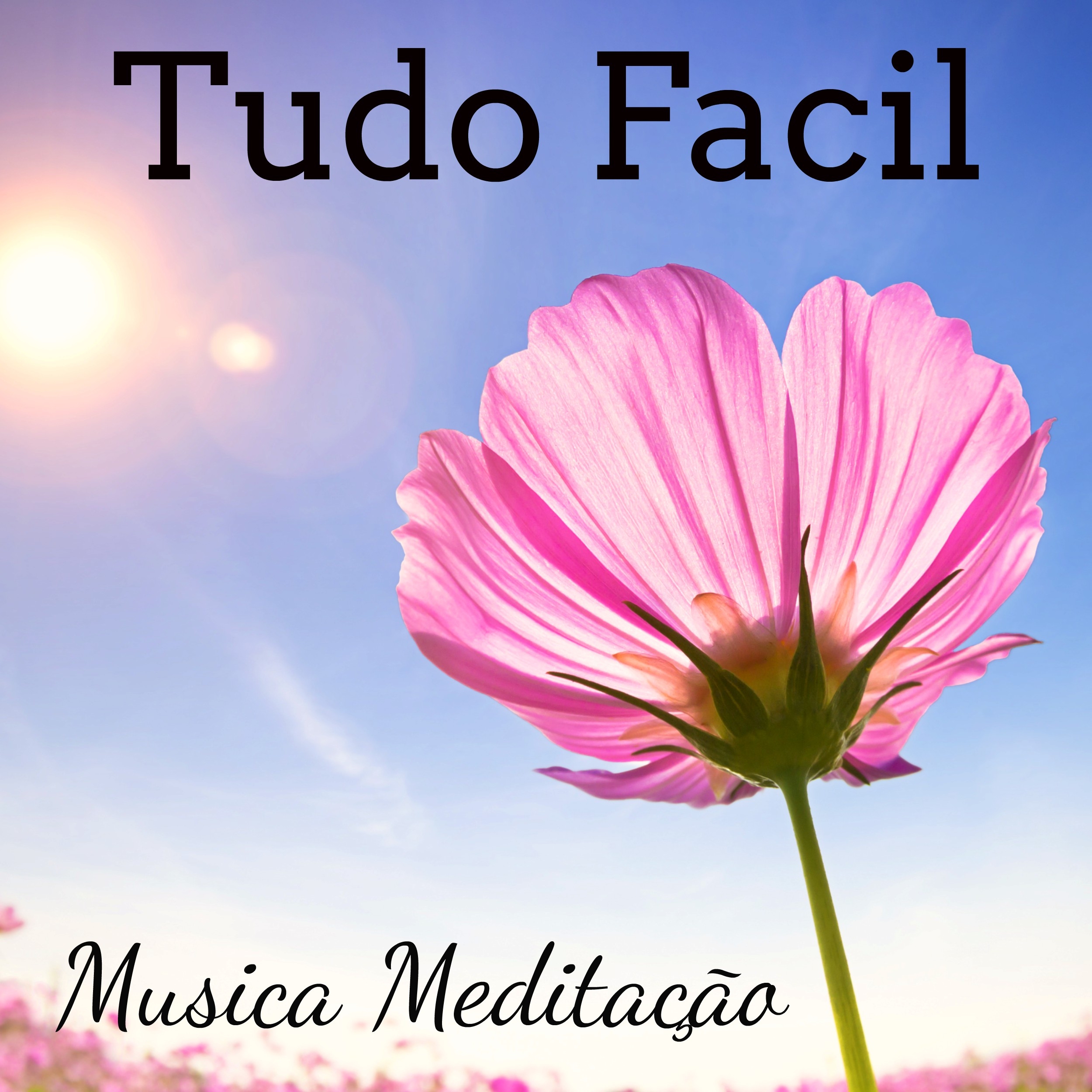 Tudo Facil  Musica Medita o para Cura Espiritual Chakras Reiki Medita o Profunda com Sons New Age Naturais